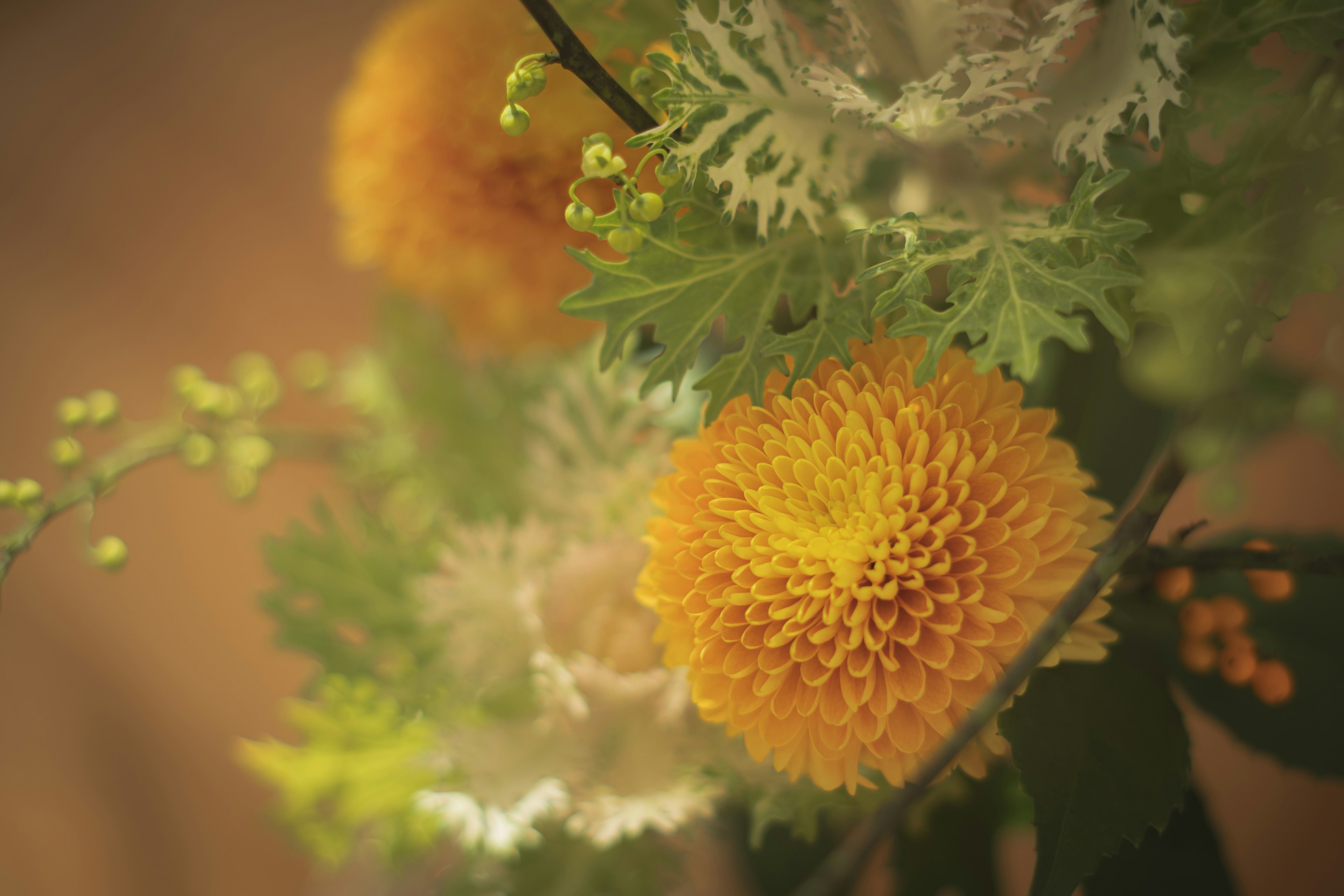 鮮やかな黄色と白の花が特徴的なブーケのクローズアップ