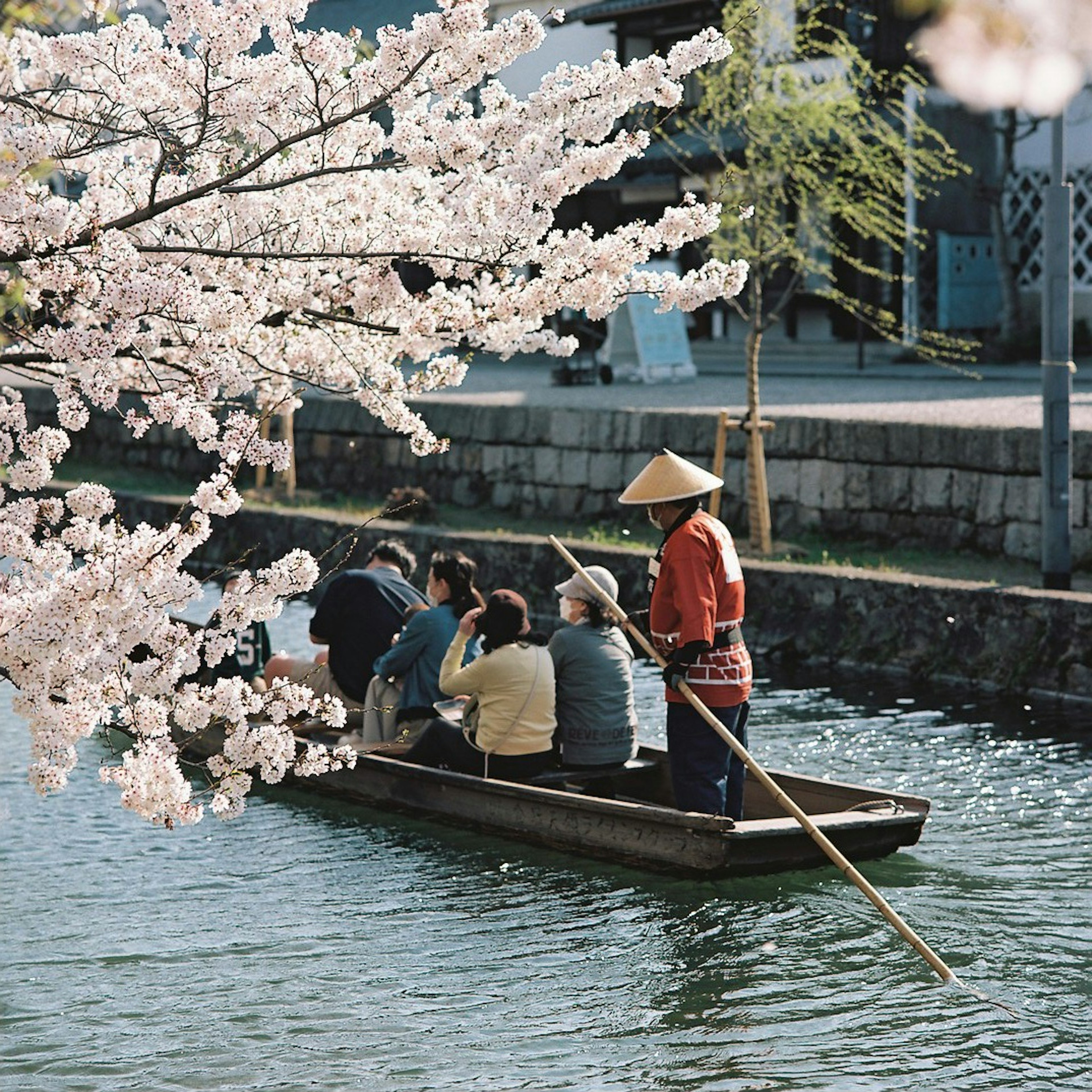 桜の花が咲く川でボートに乗る人々