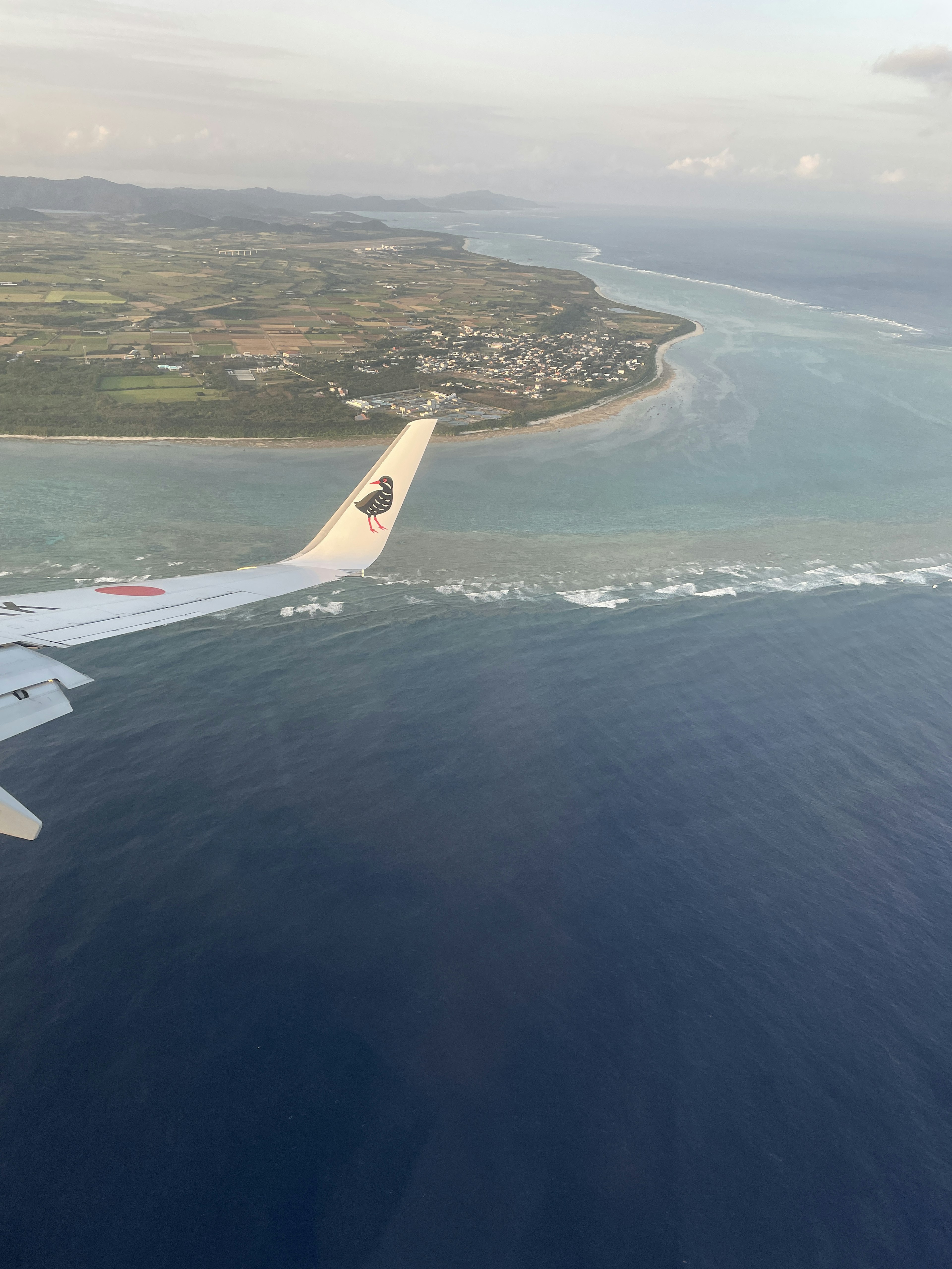 Luftaufnahme mit einem Flugzeugflügel über dem Ozean und der Küste