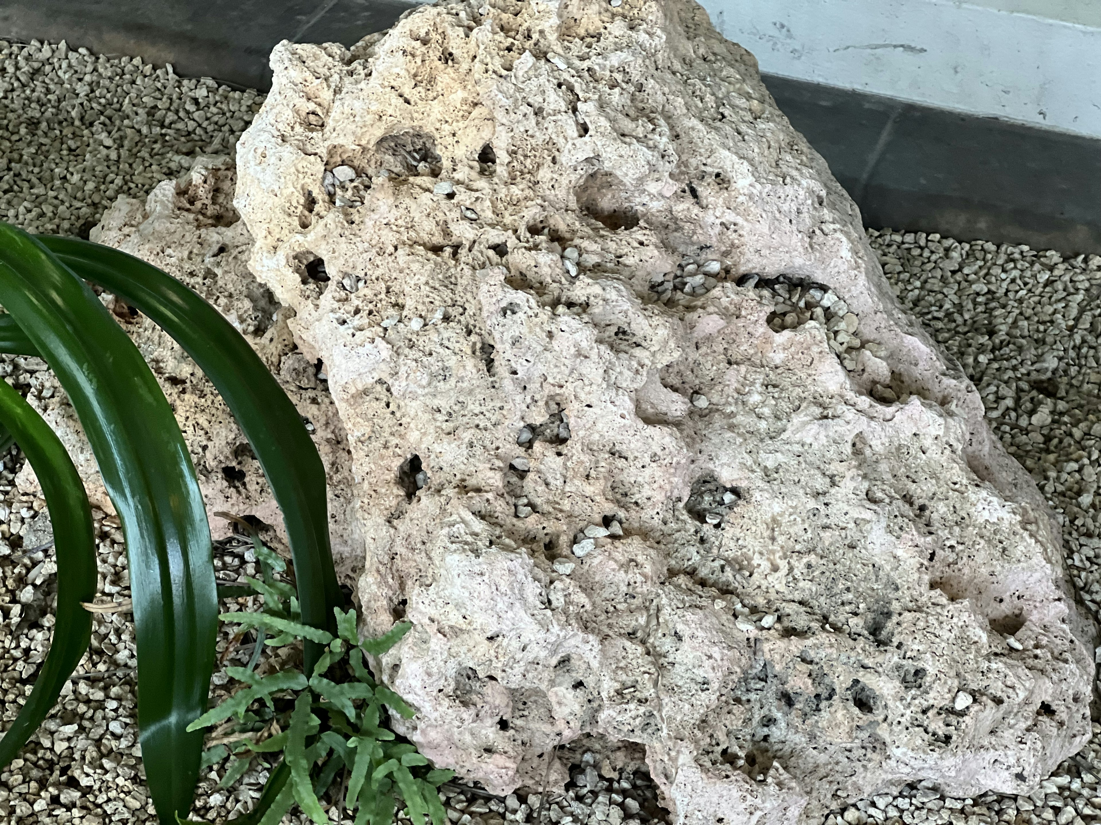 Large rock placed in a garden surrounded by plants