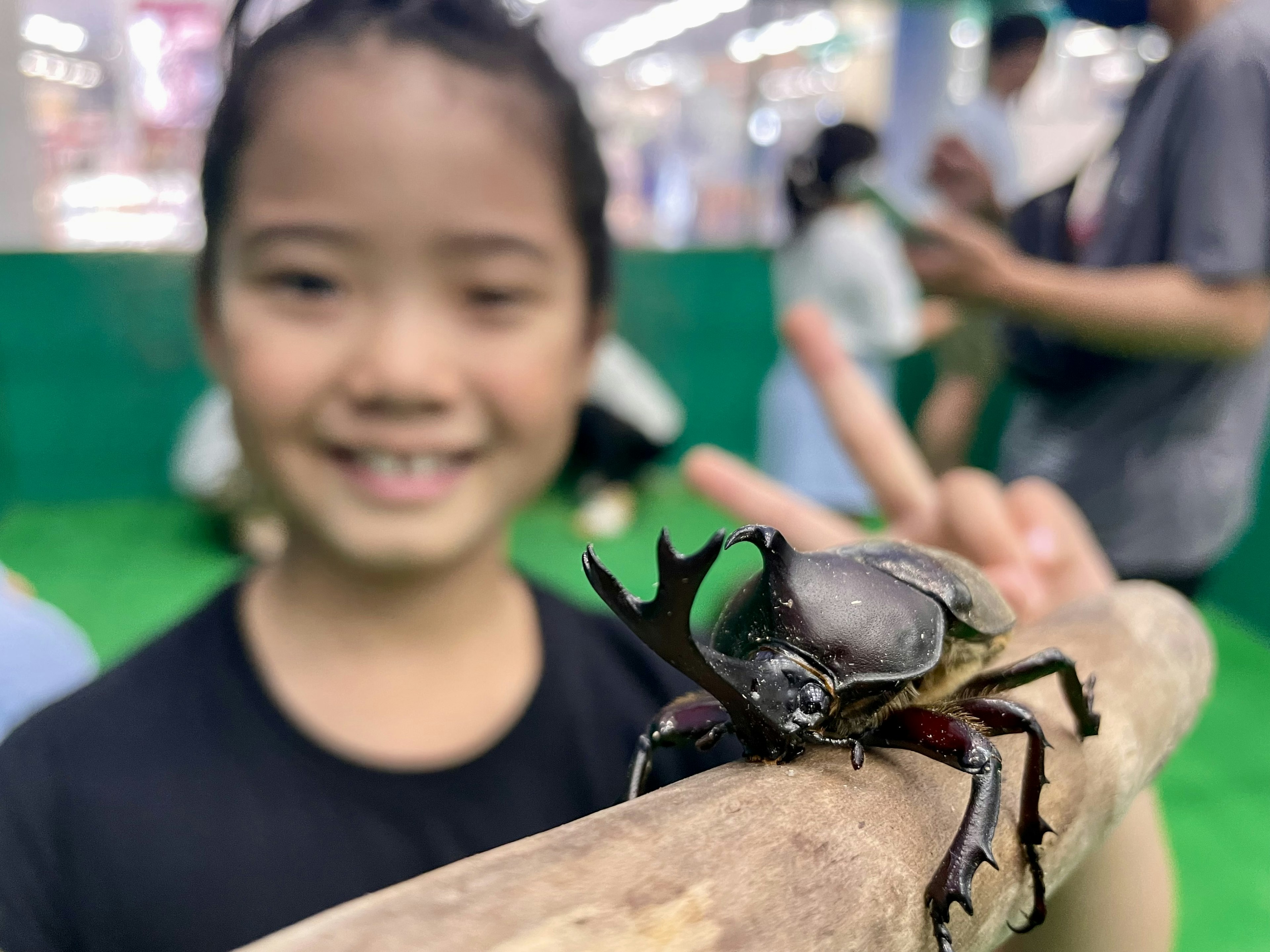 一個孩子微笑著與一隻甲蟲在樹枝上合影