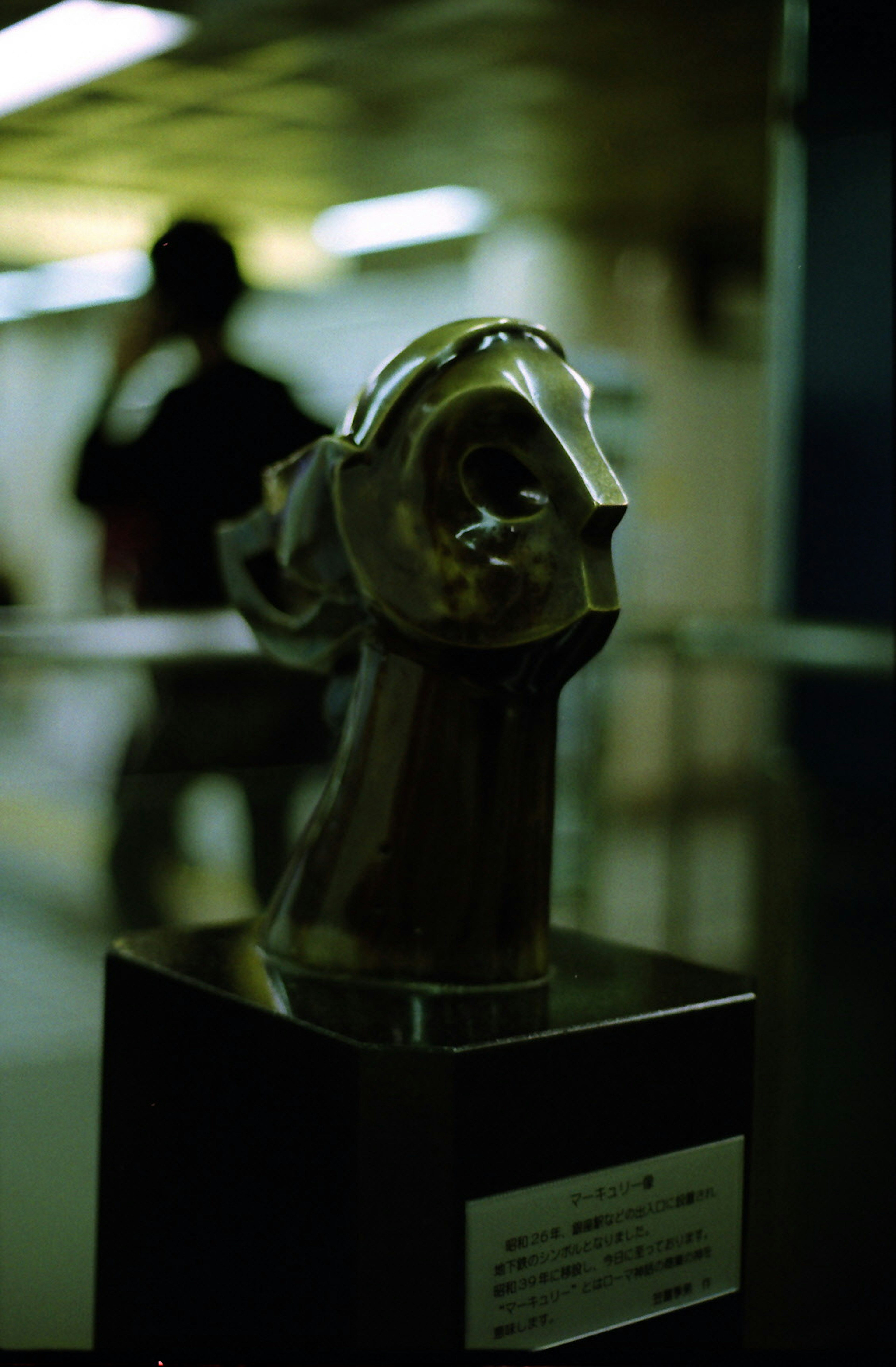 Artistic sculpture of a horse's head displayed in a gallery