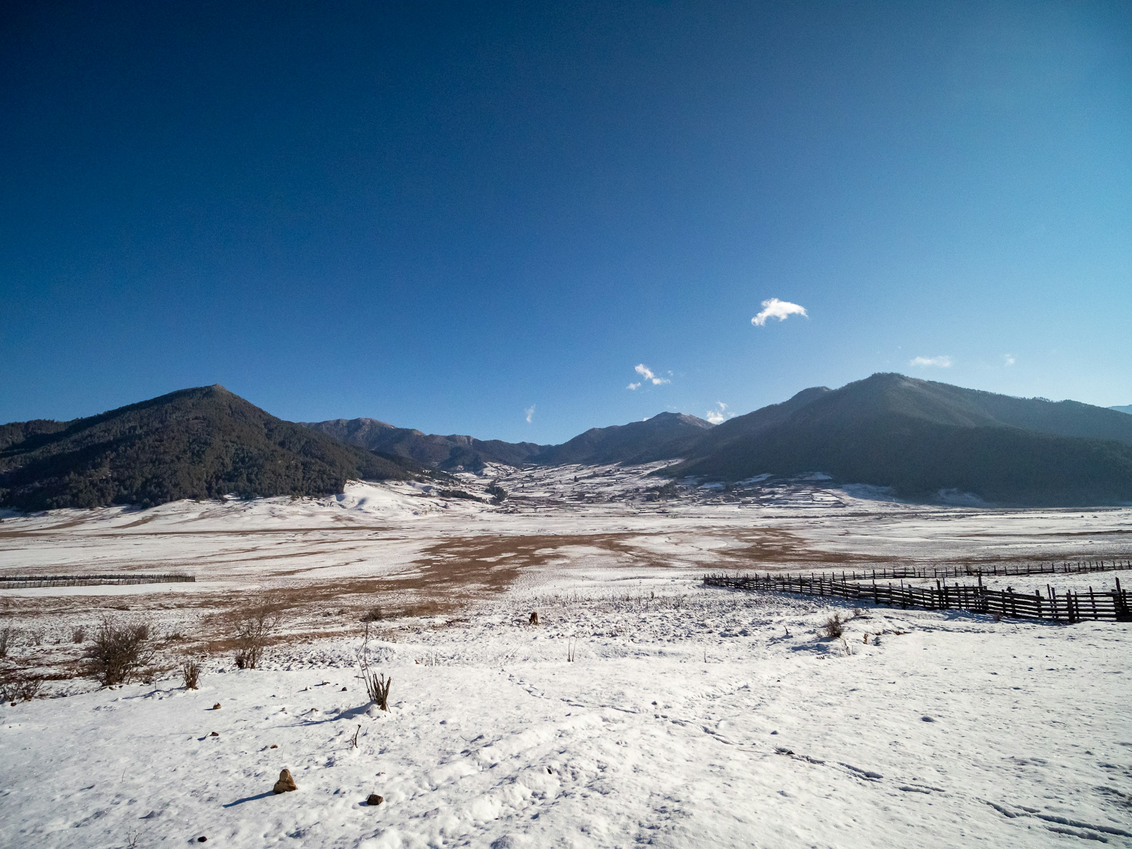 雪に覆われた広大な平原と青空の風景