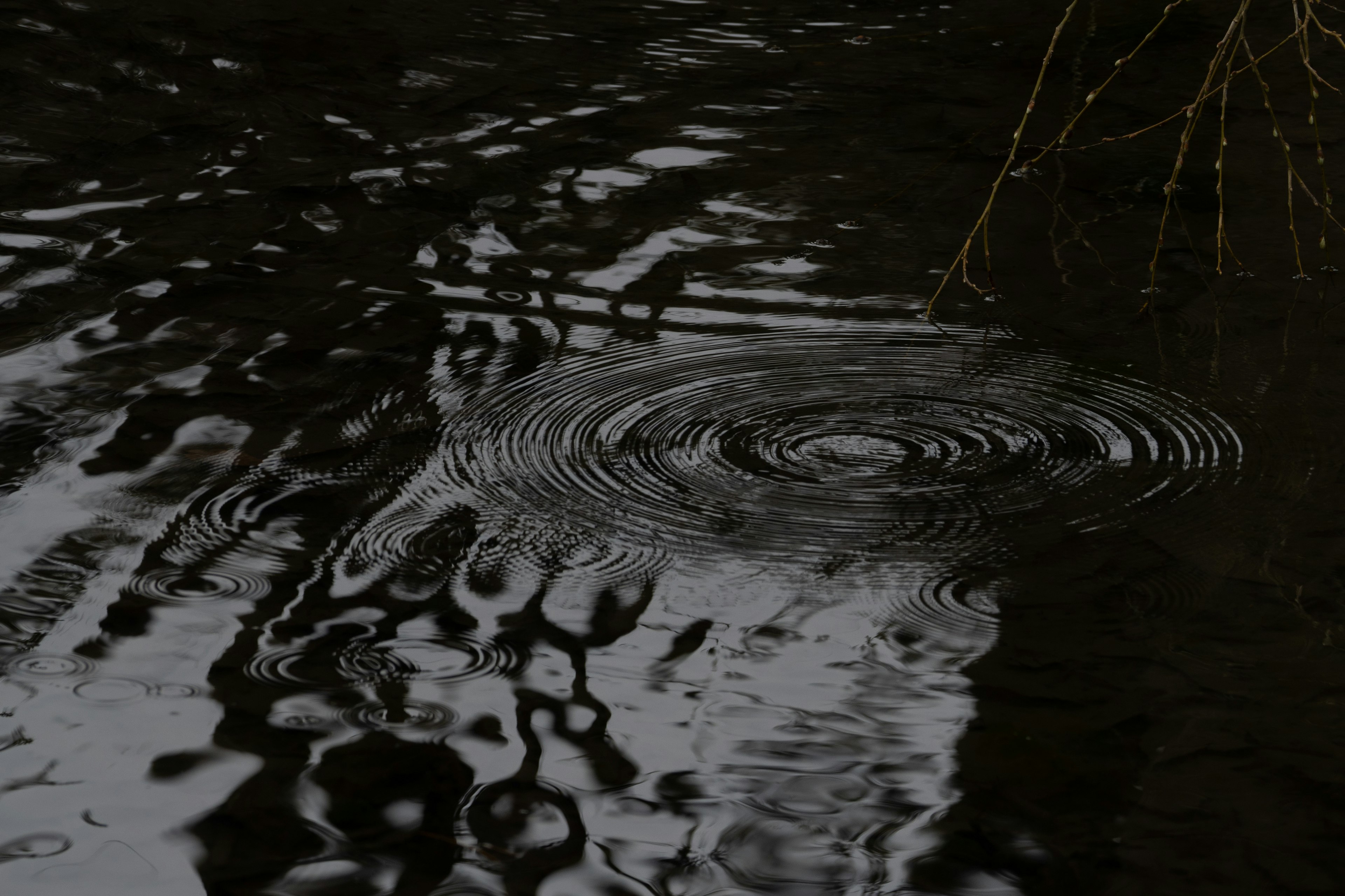 Imagen de agua oscura con ondas y reflejos en la superficie