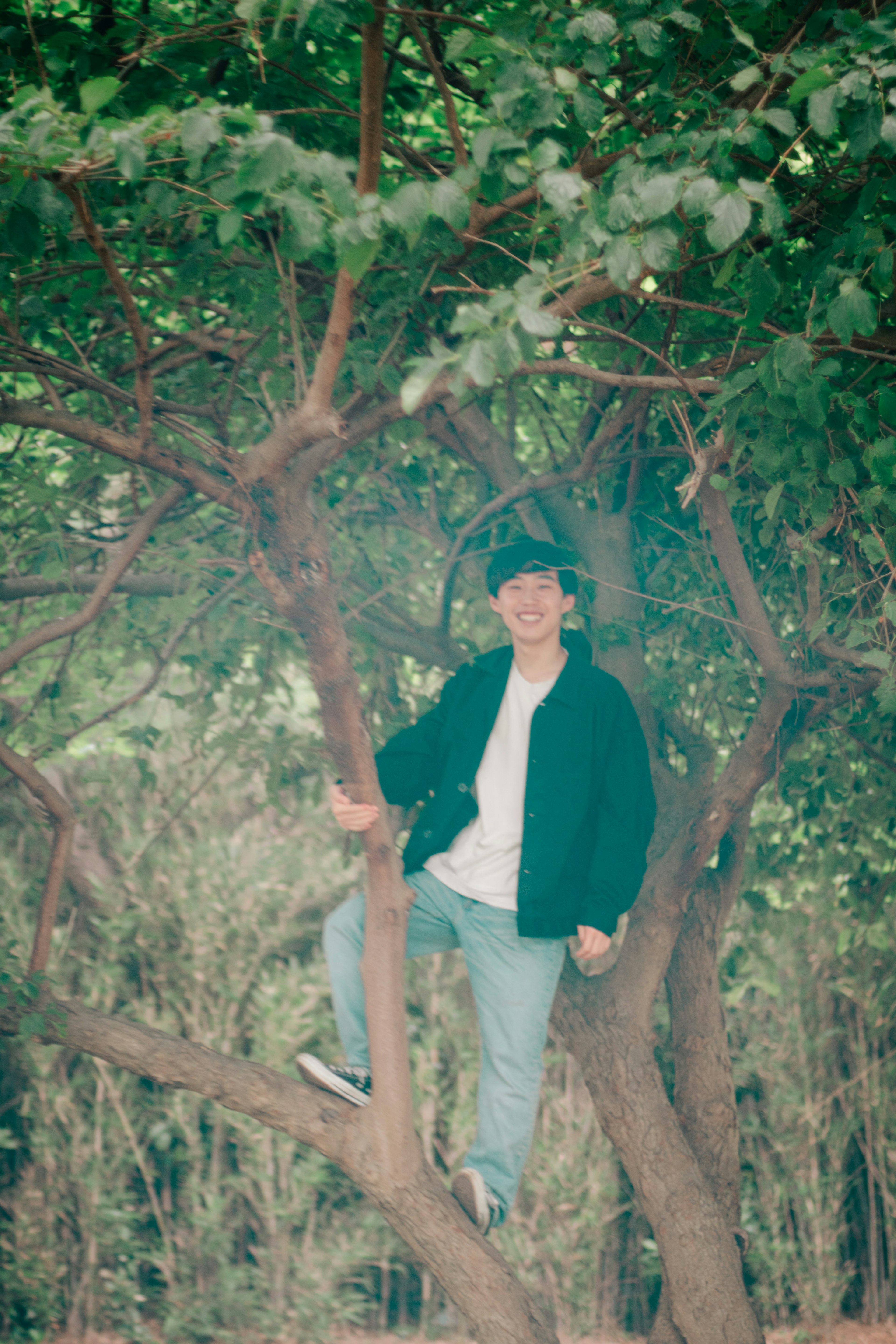 A young person standing in a tree with a lush green background