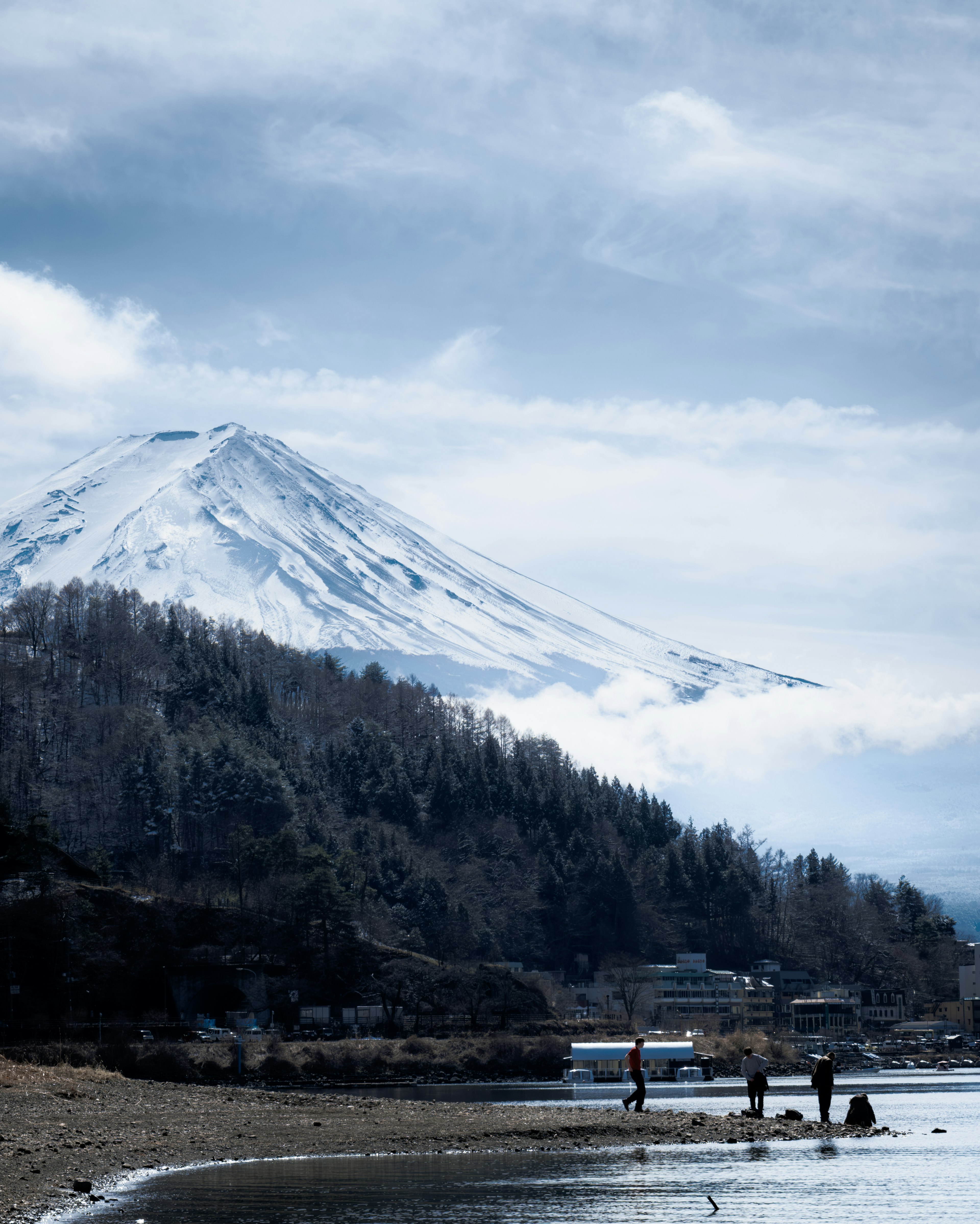 雪をかぶった山と静かな海岸線の風景