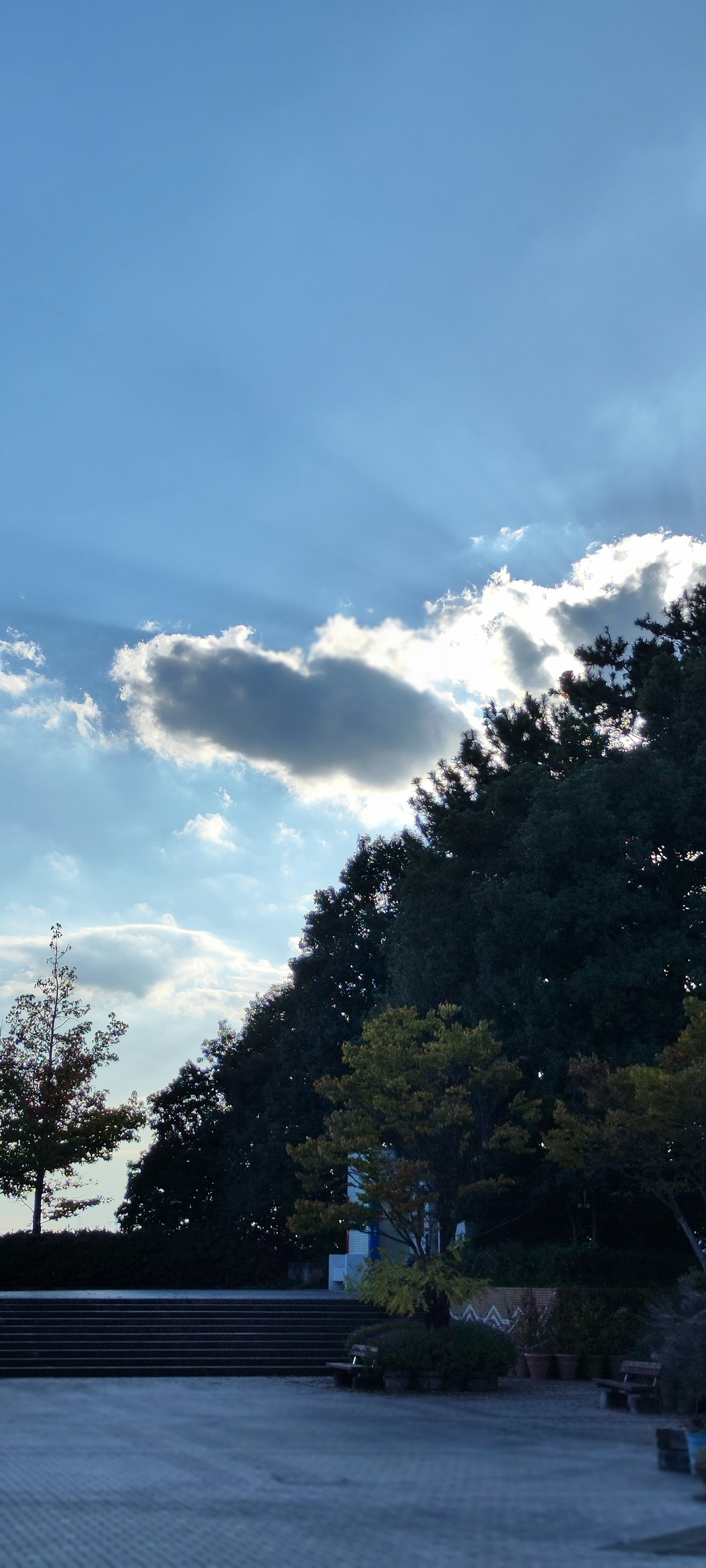 Langit biru dengan awan dan pohon di latar belakang