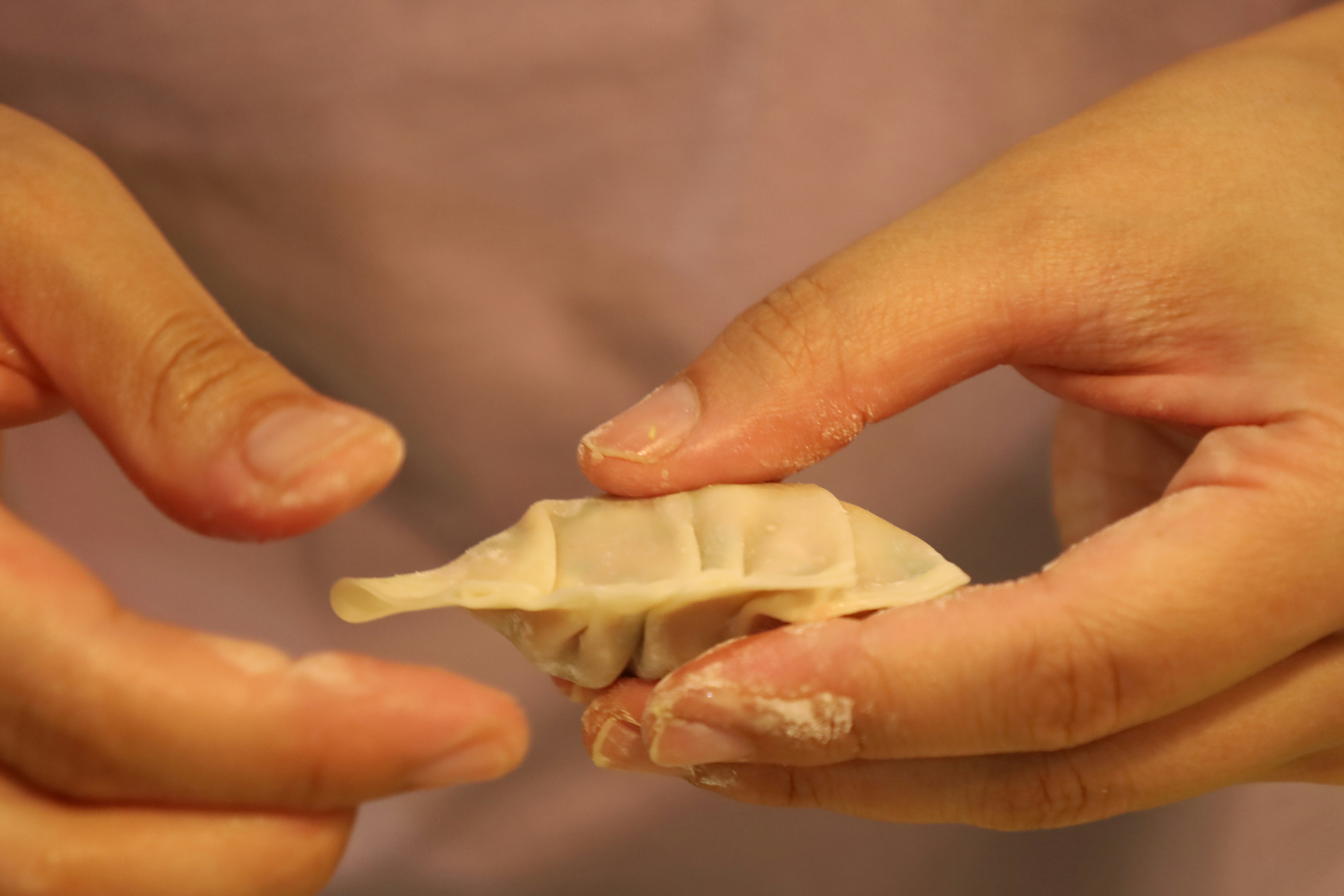 Image of a dumpling being held in hands