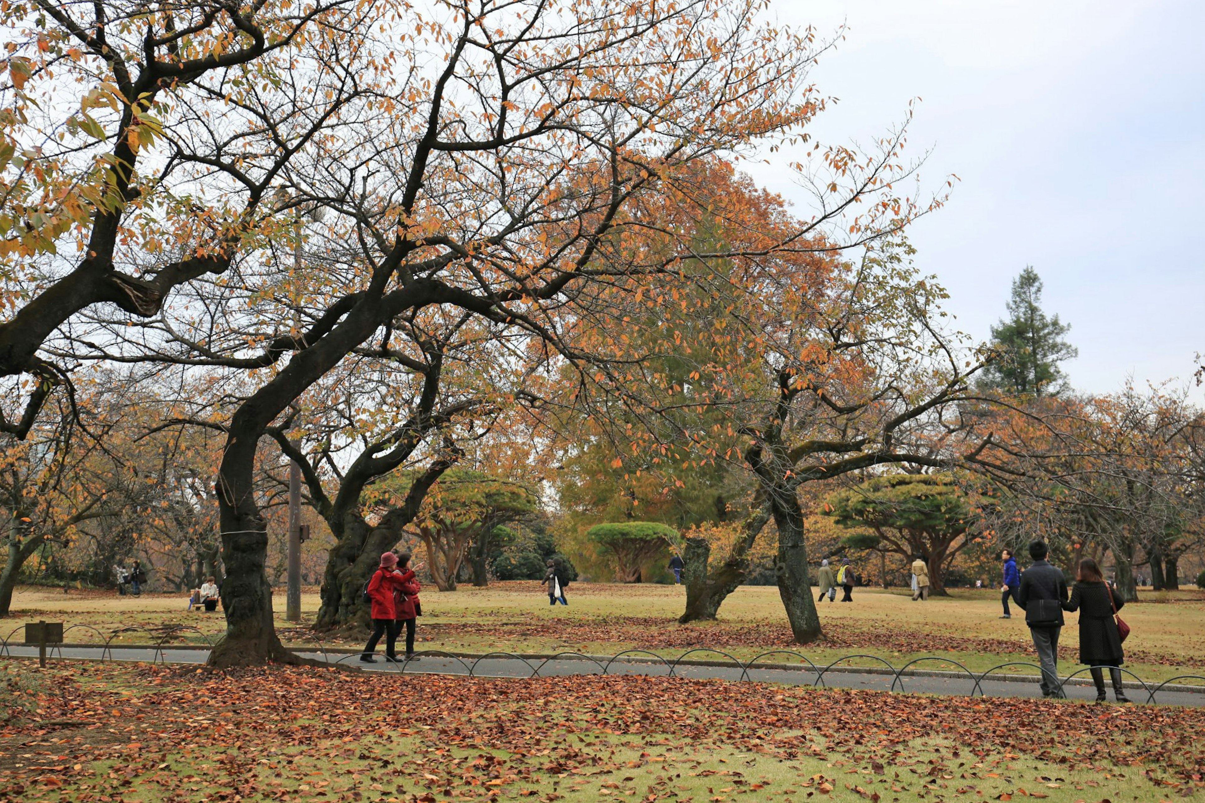 Persone che camminano in un parco autunnale con foglie cadute