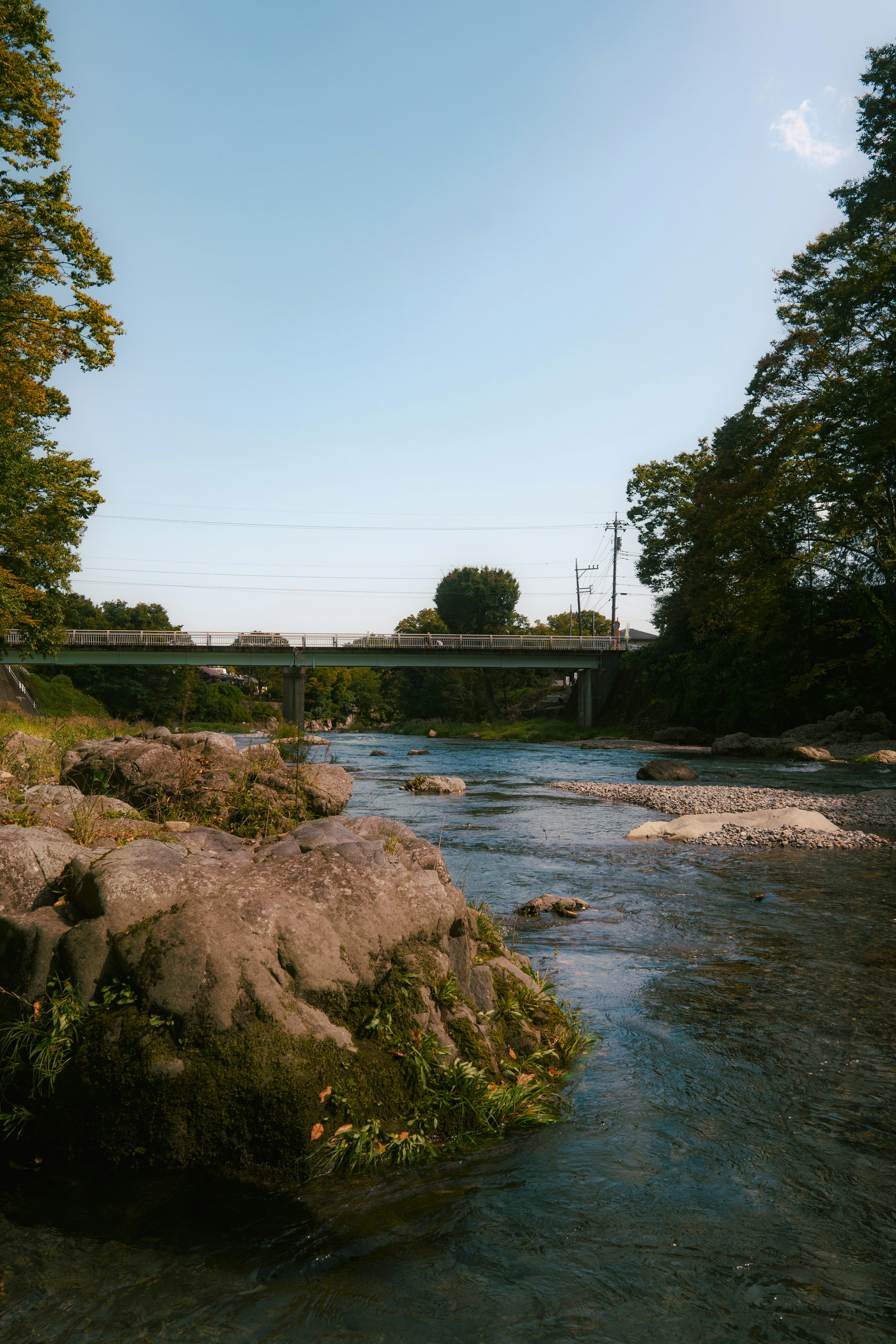 Ruhige Flusslandschaft mit grünen Bäumen und sichtbaren Felsen Brücke in der Ferne