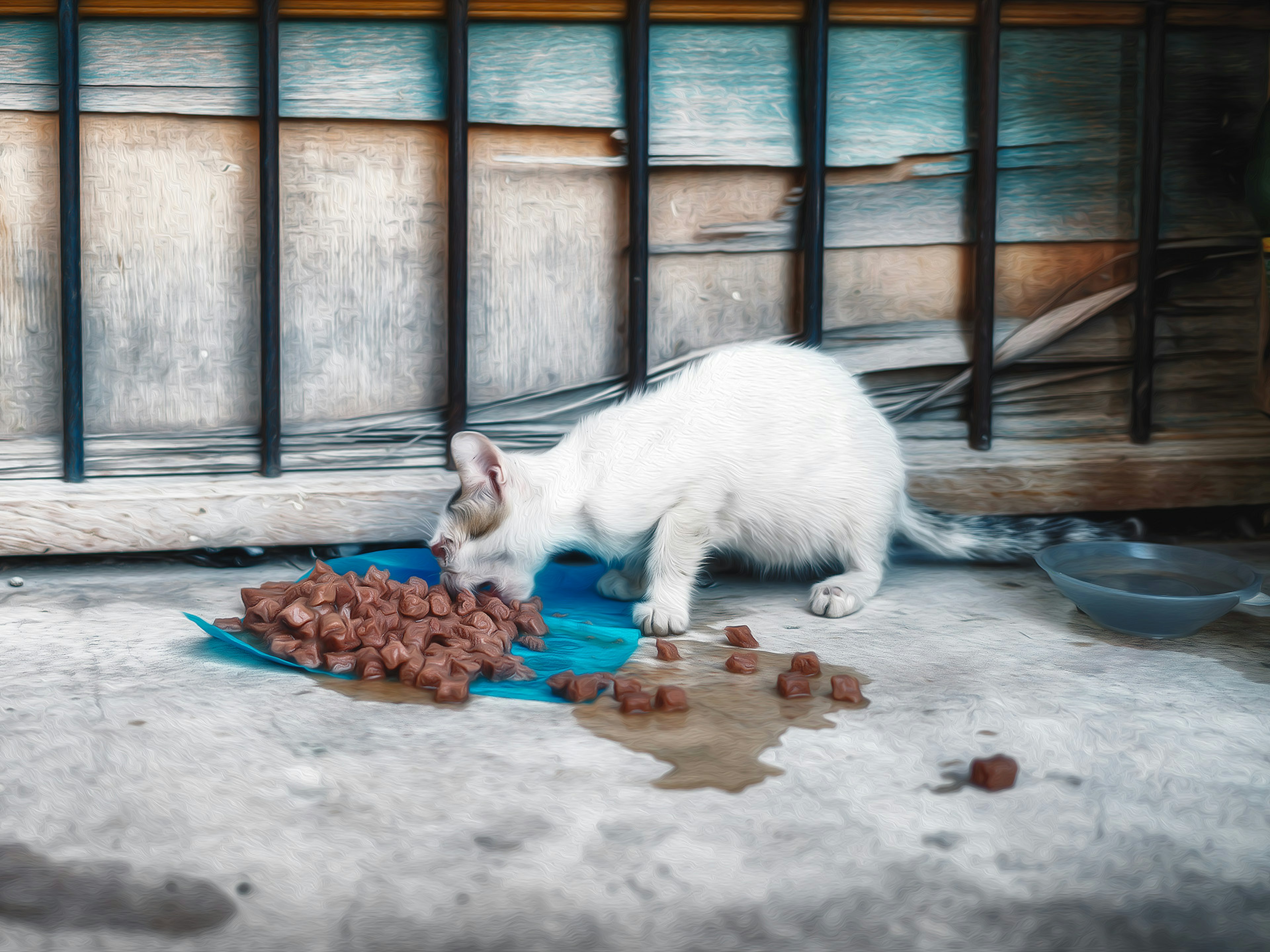 白い猫が青い皿の上で食べ物を食べている