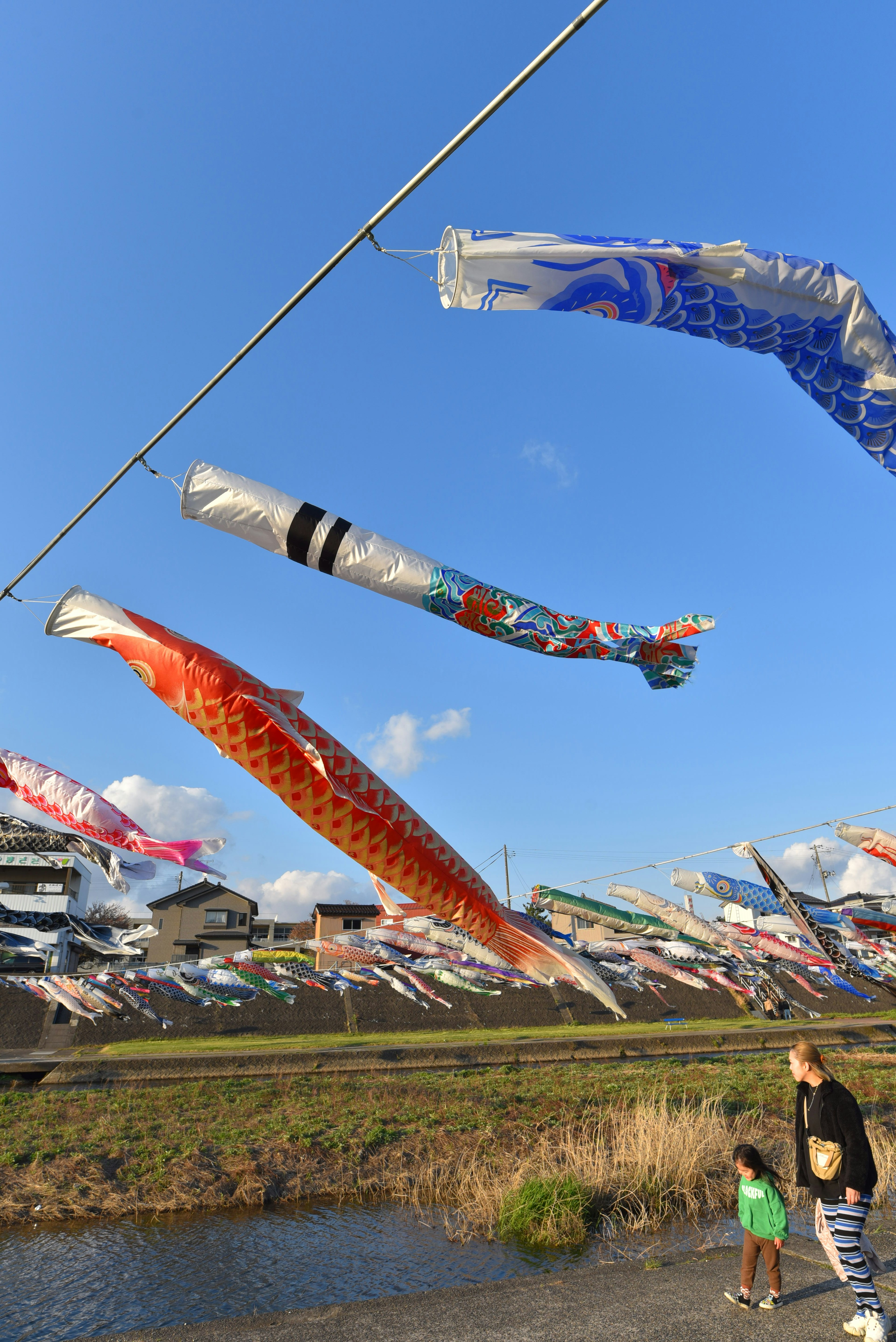 Koinobori yang terbang di bawah langit biru dengan anak-anak di dekatnya