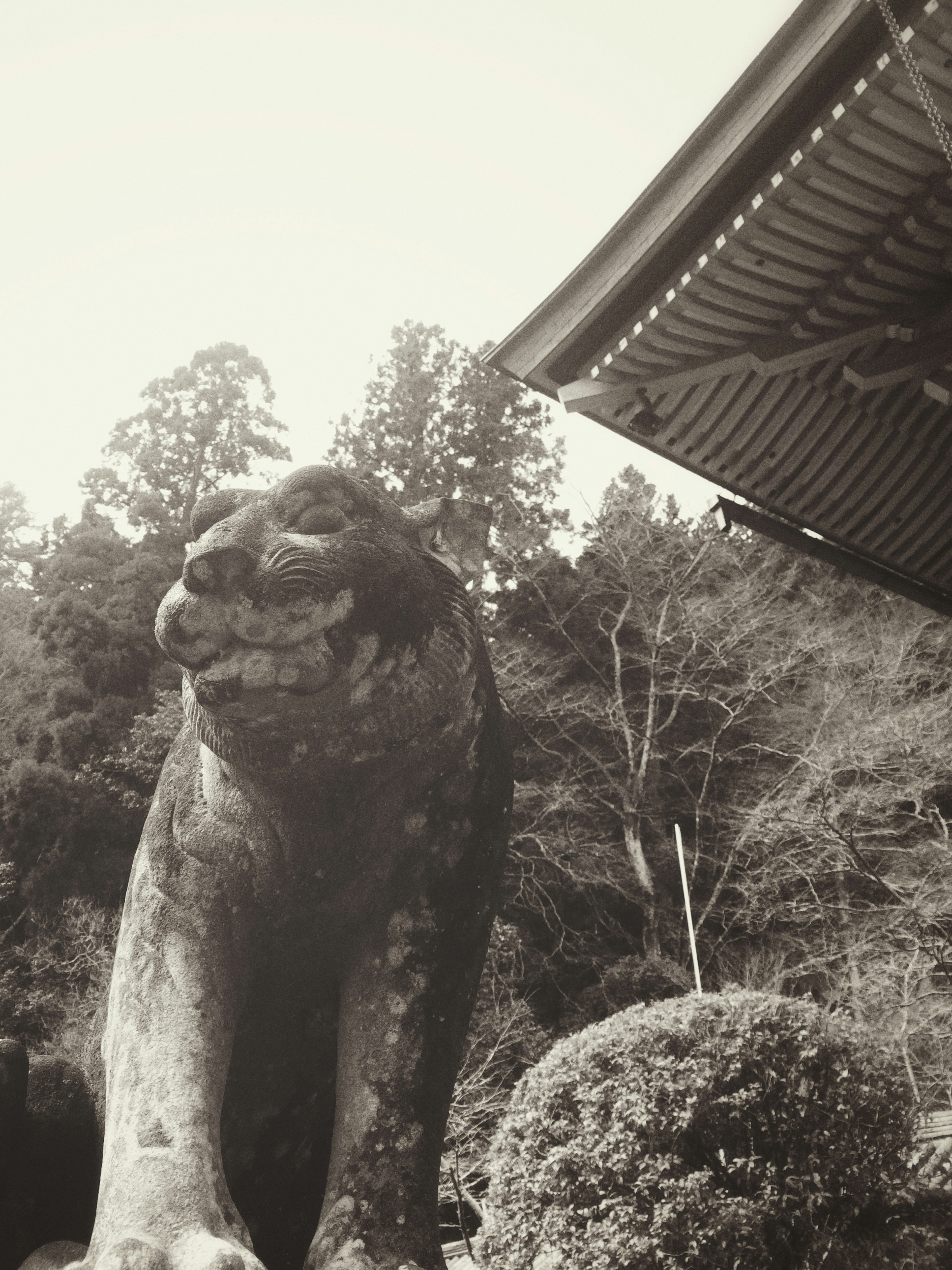 Ancient stone lion statue at a shrine surrounded by trees