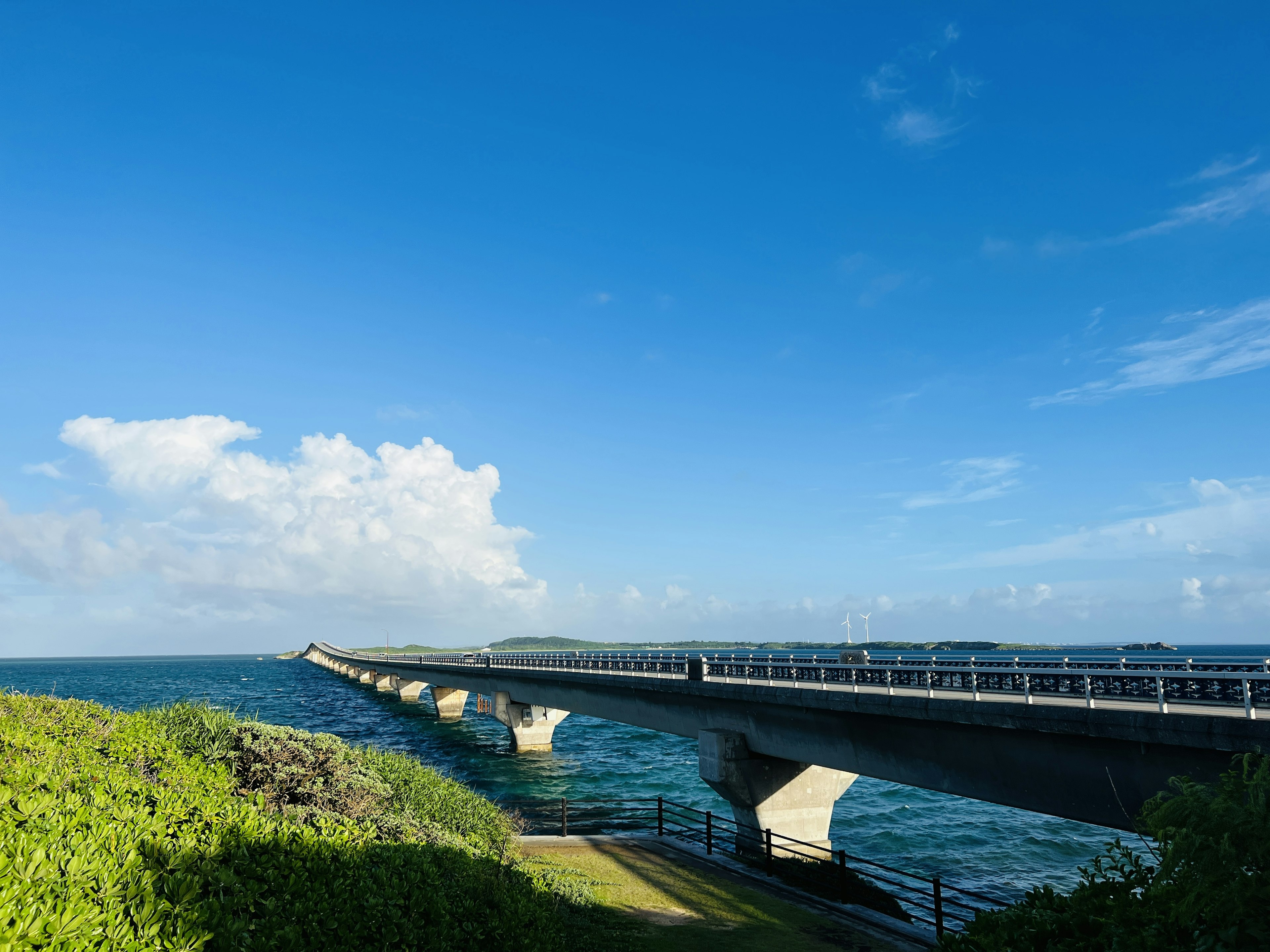 Ponte sull'oceano con cielo blu chiaro e vegetazione circostante