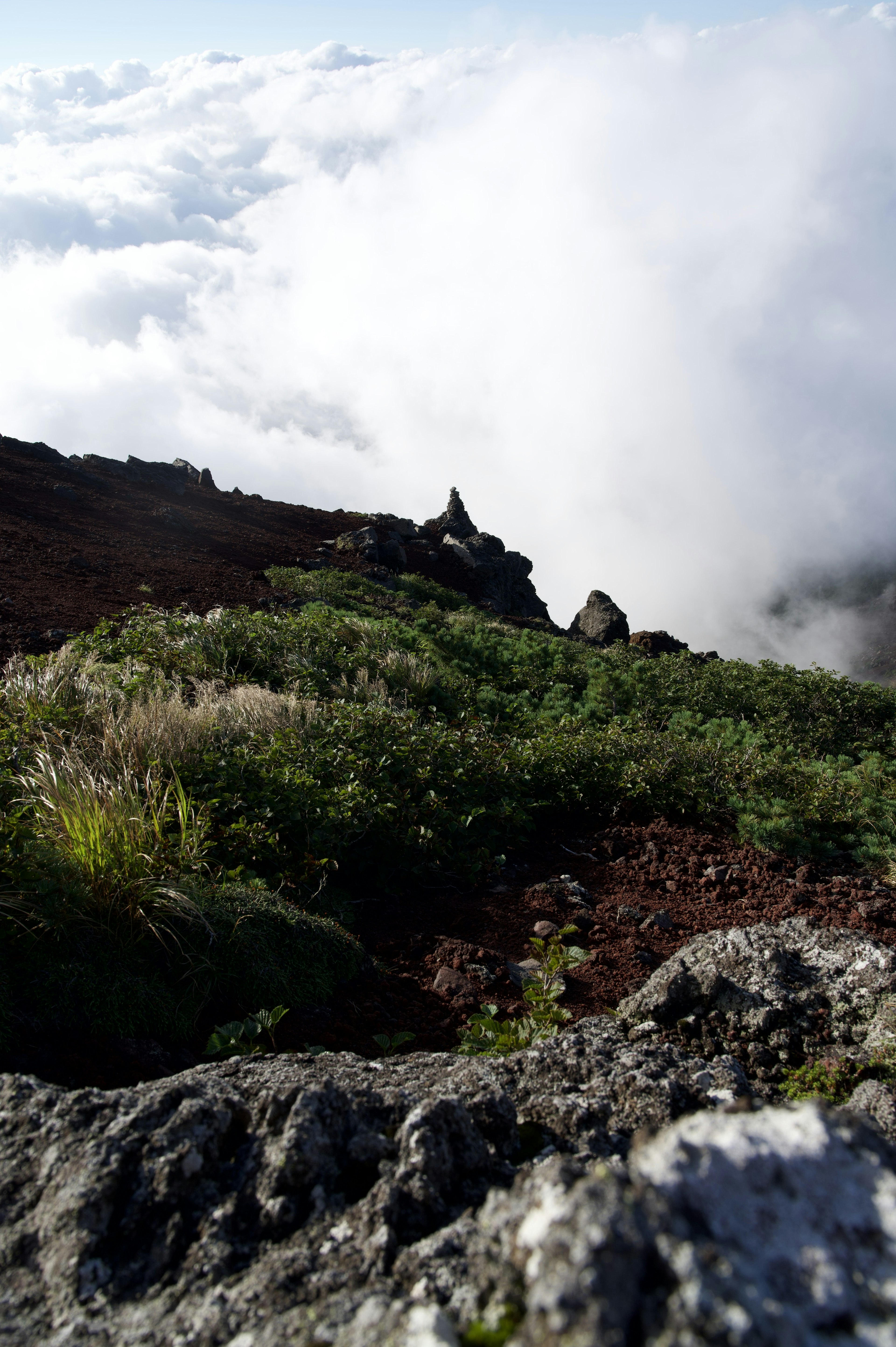 Vista escénica desde una cima montañosa con un mar de nubes y vegetación exuberante