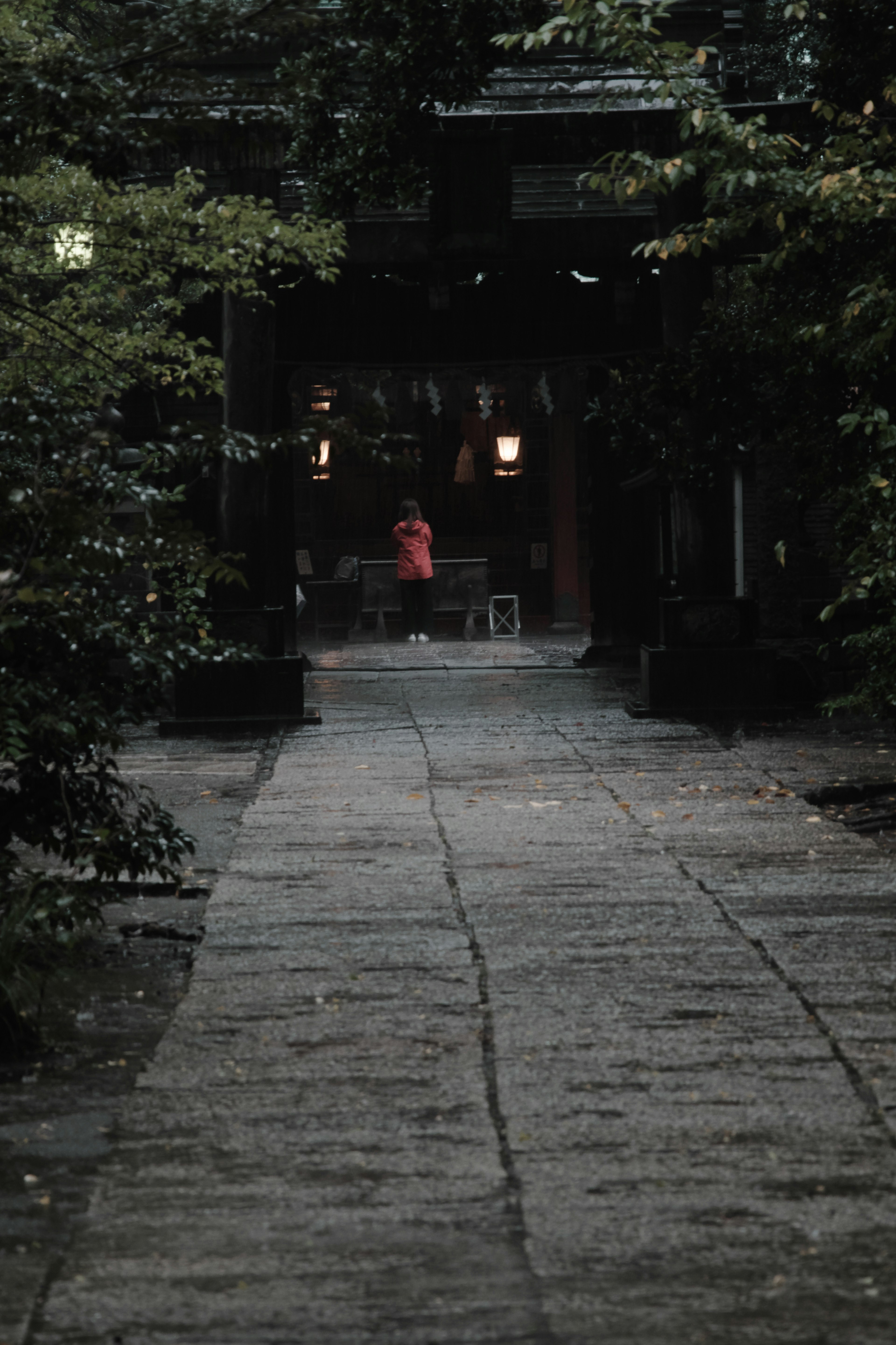 A person in red standing on a quiet stone path