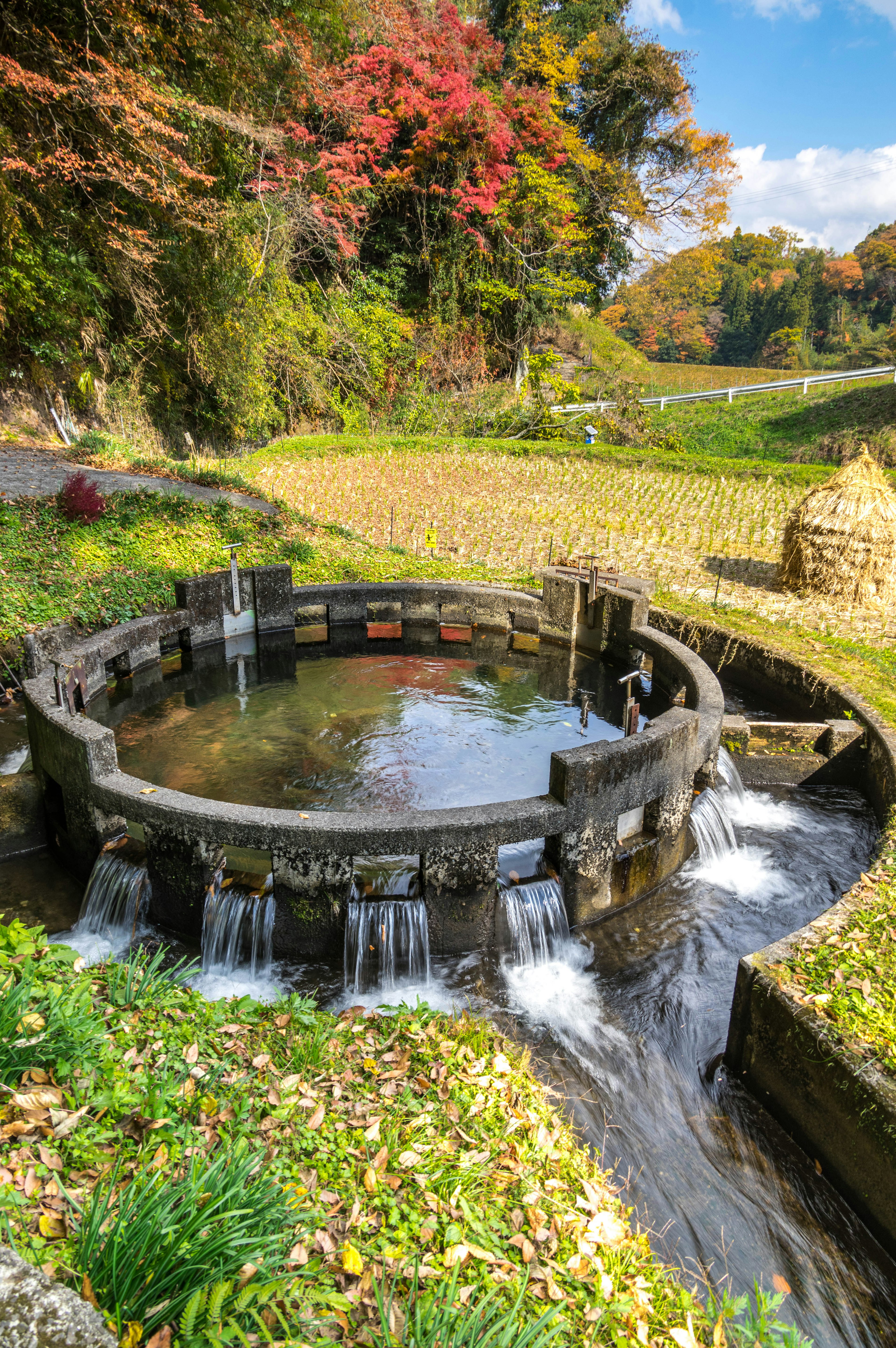 Mulino ad acqua circondato da vegetazione lussureggiante e foglie autunnali