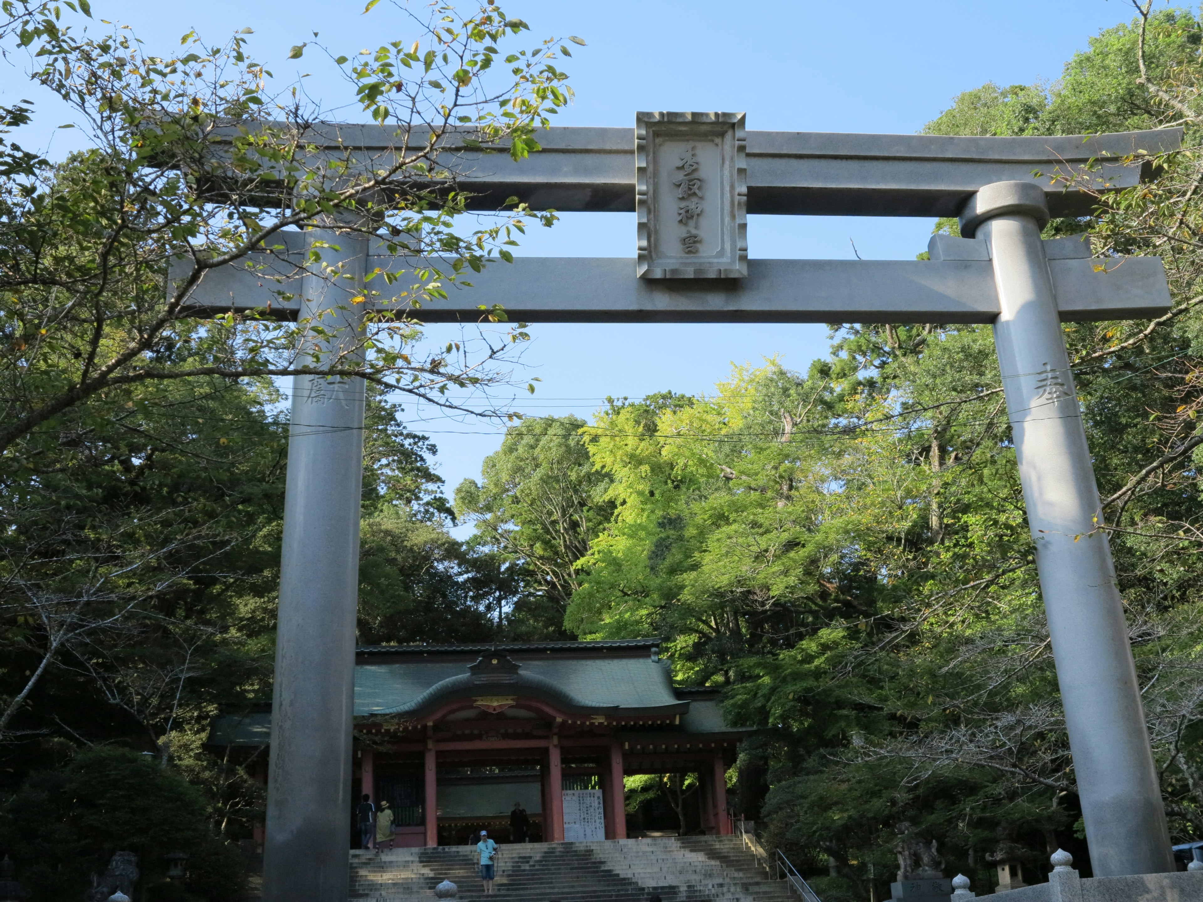 Puerta torii de un santuario con vegetación exuberante de fondo