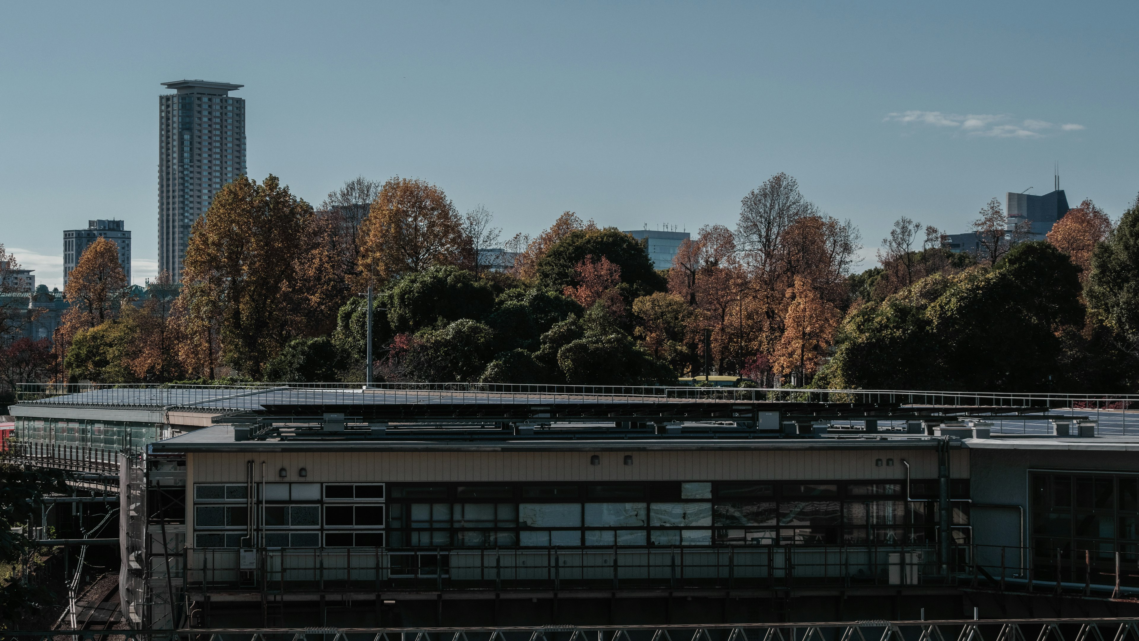 Modernes Gebäude umgeben von herbstlichem Laub unter einem klaren blauen Himmel