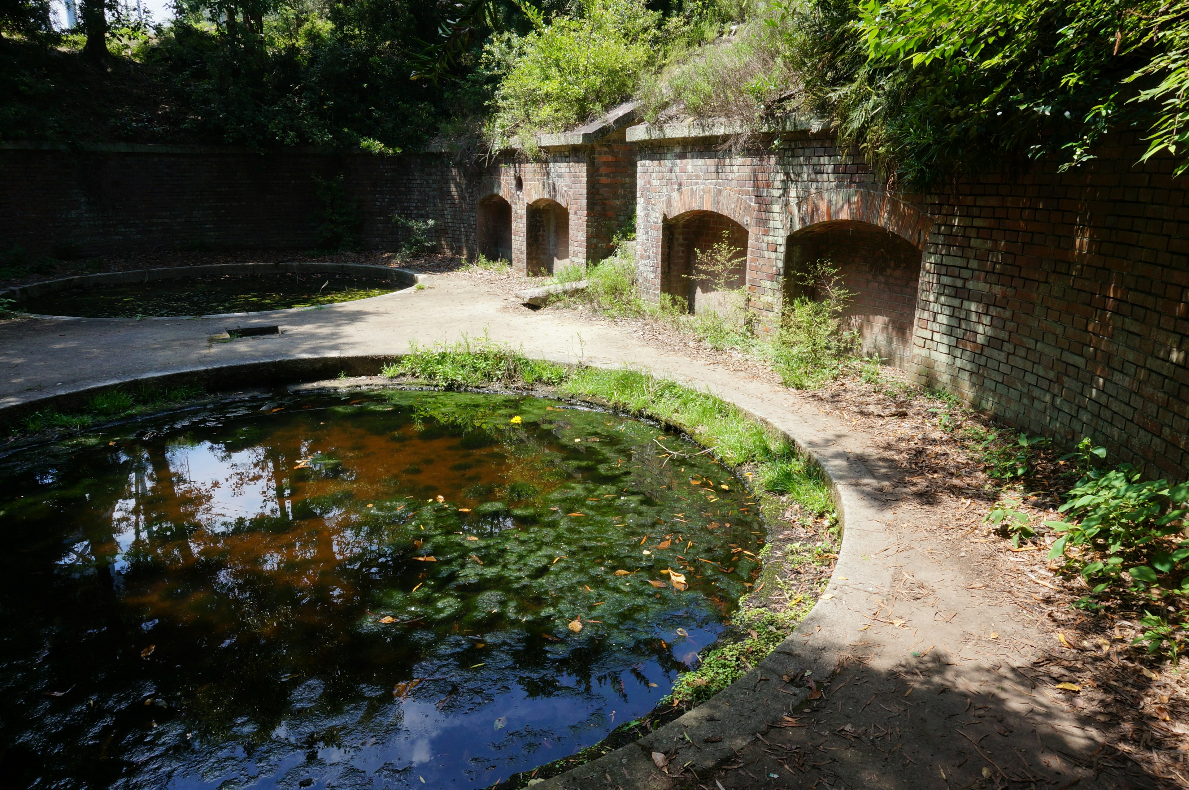 A scenic view of an old pond surrounded by lush greenery and brick walls