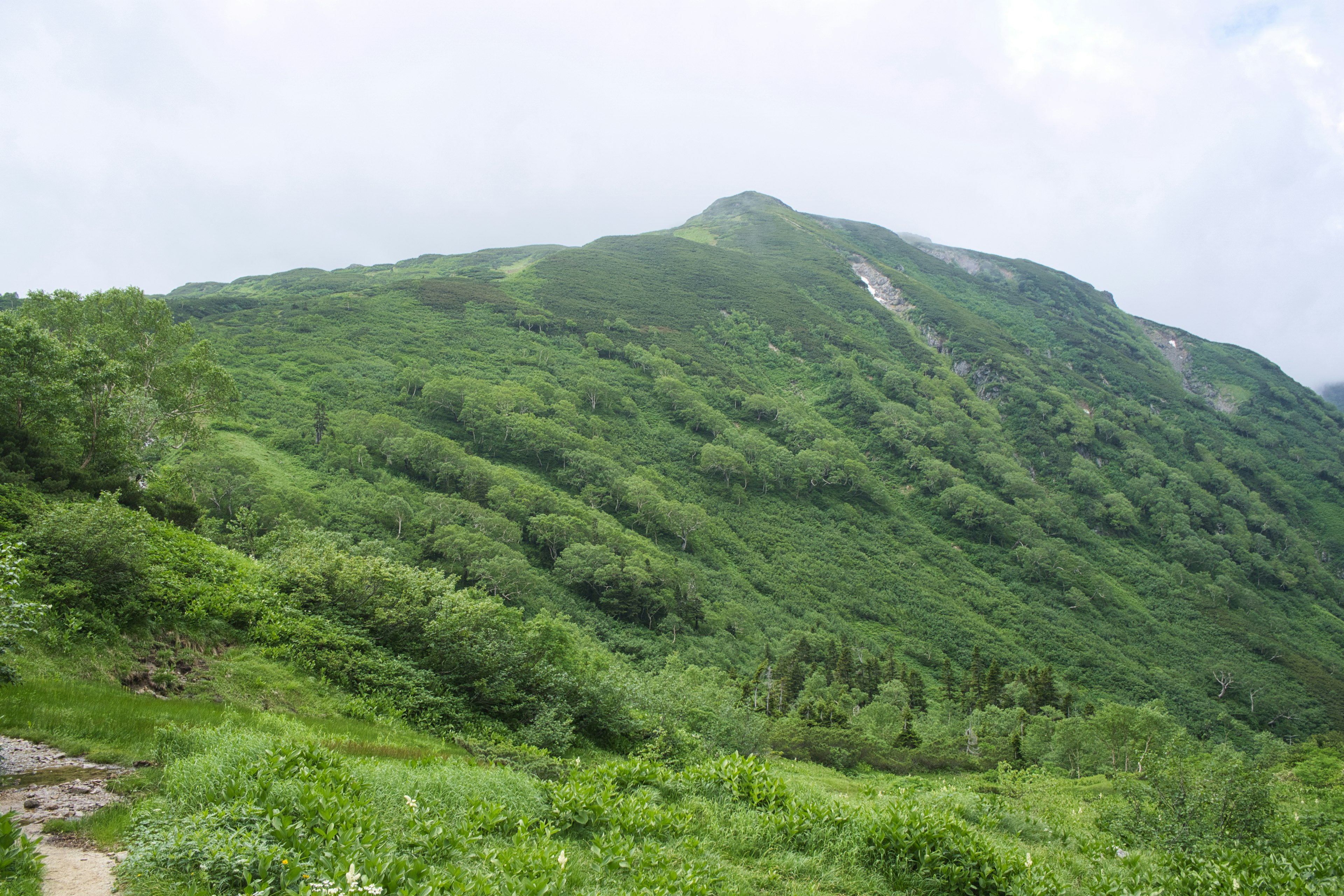 翠綠的山坡在多雲的天空下