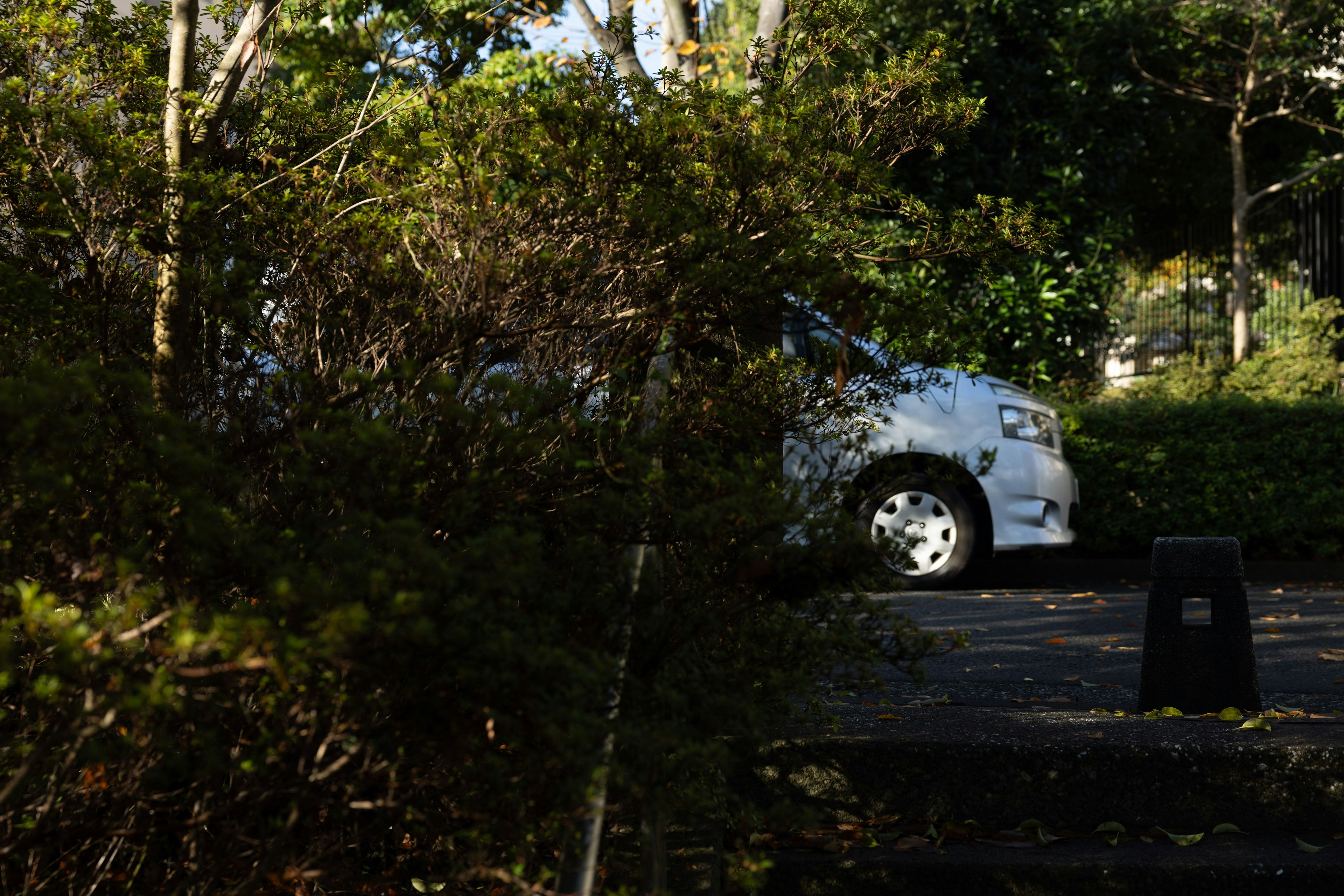 Un'auto bianca parzialmente visibile in un'area di parcheggio tranquilla circondata da piante verdi