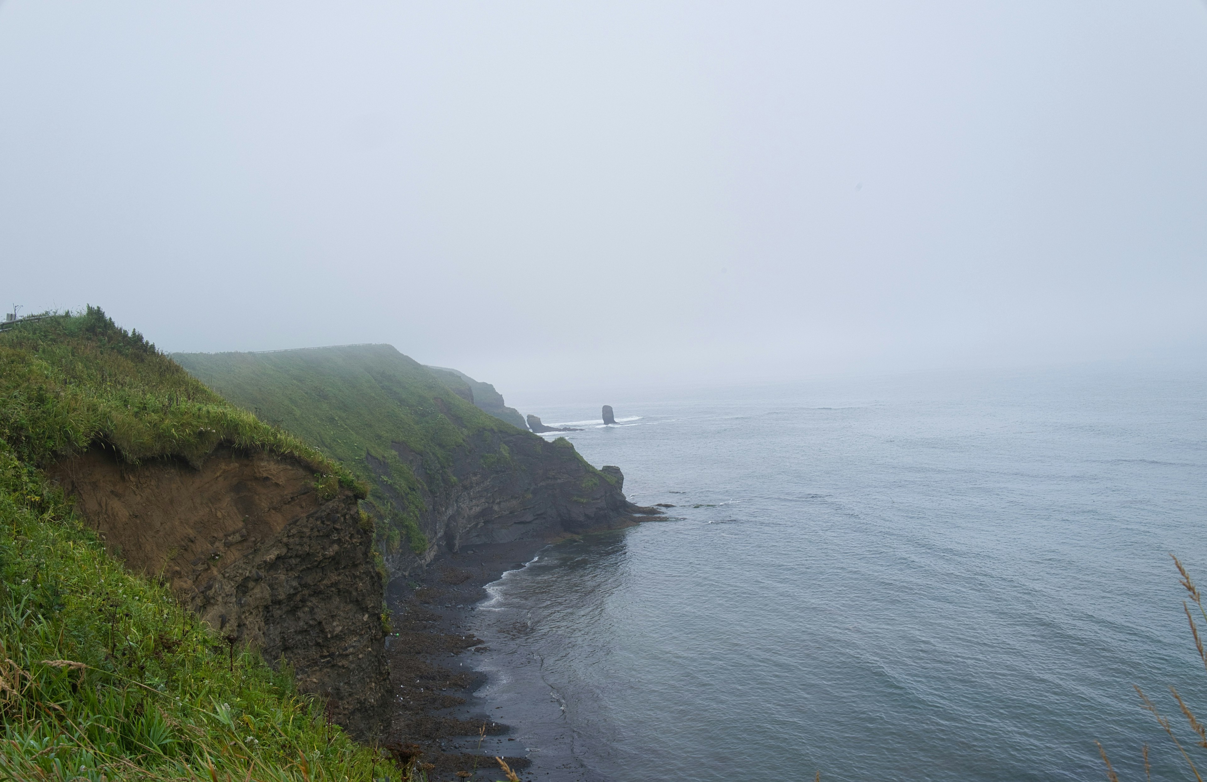 霧に包まれた海岸線の風景 緑の草地と静かな海