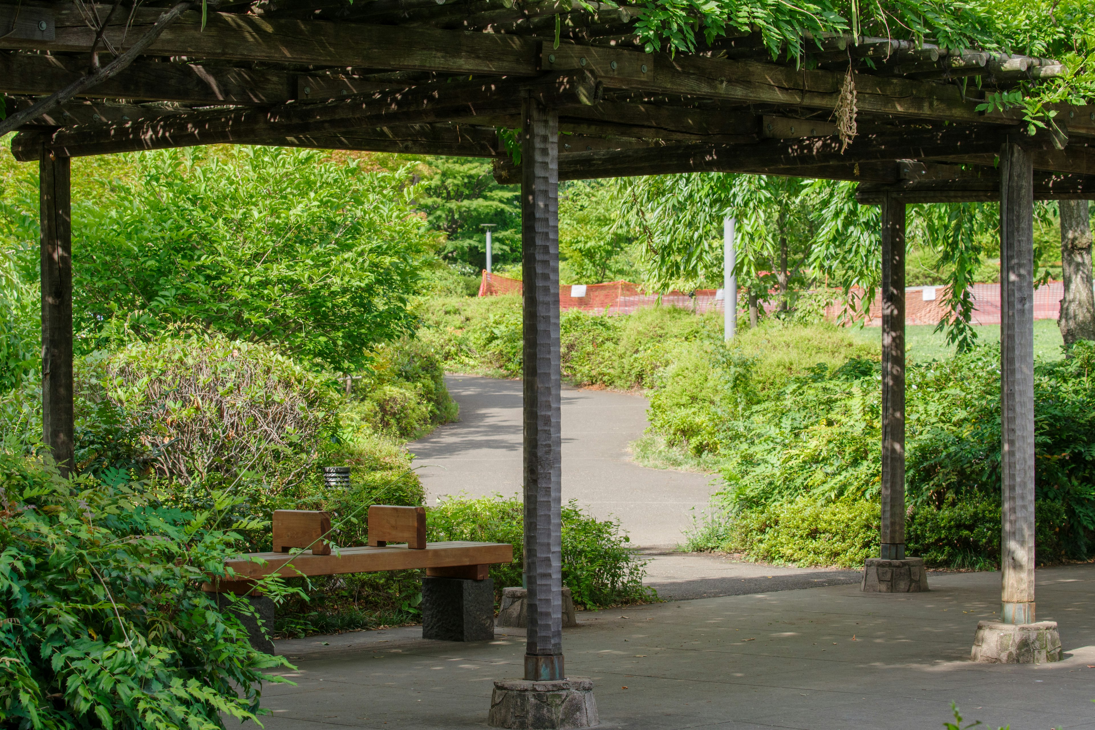 Scène de parc avec un banc en bois et un chemin sinueux entouré de verdure