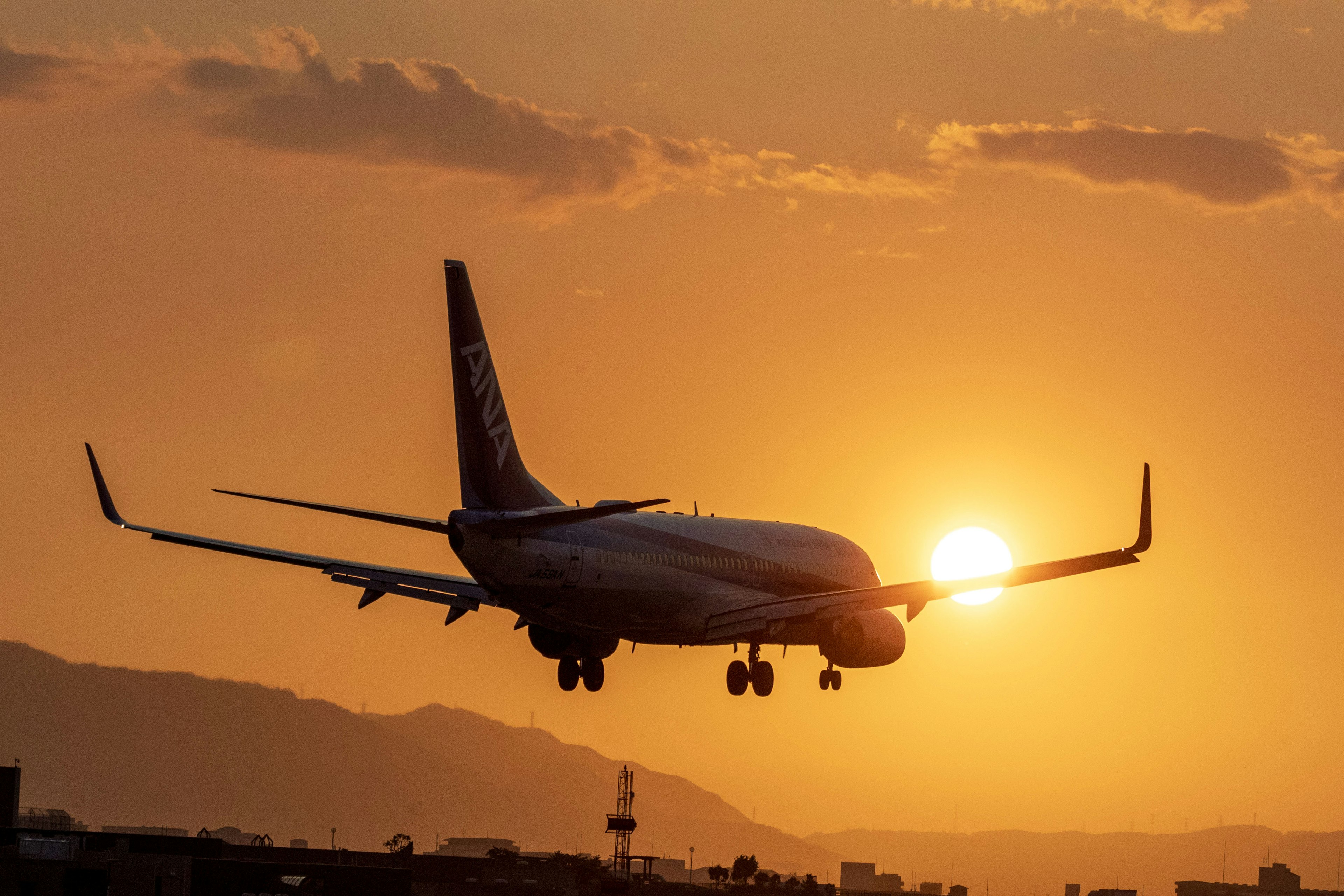 Flugzeug landet vor einem Sonnenuntergang