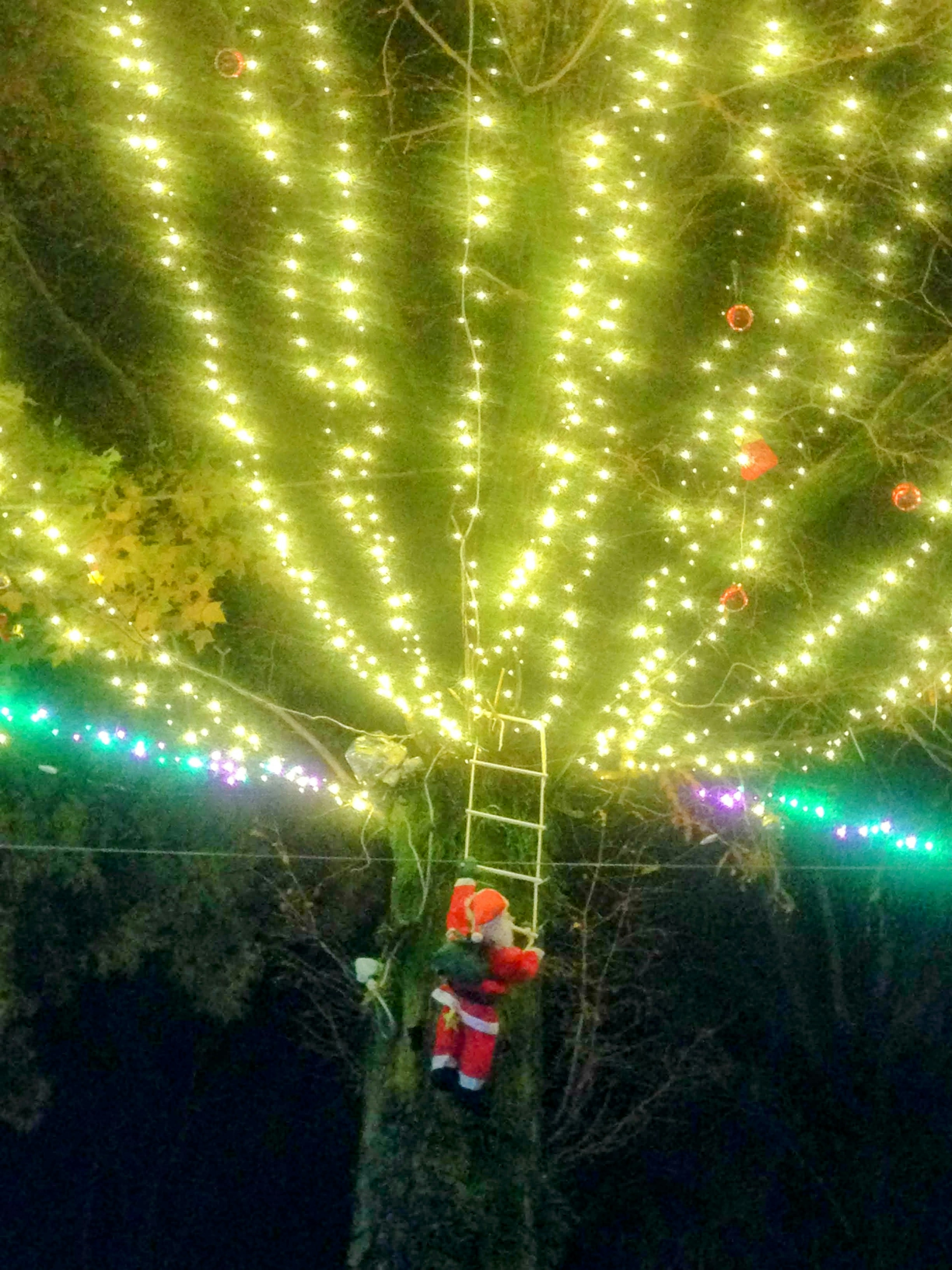 Santa-Figur, die eine Leiter auf einen hell erleuchteten Weihnachtsbaum hochklettert