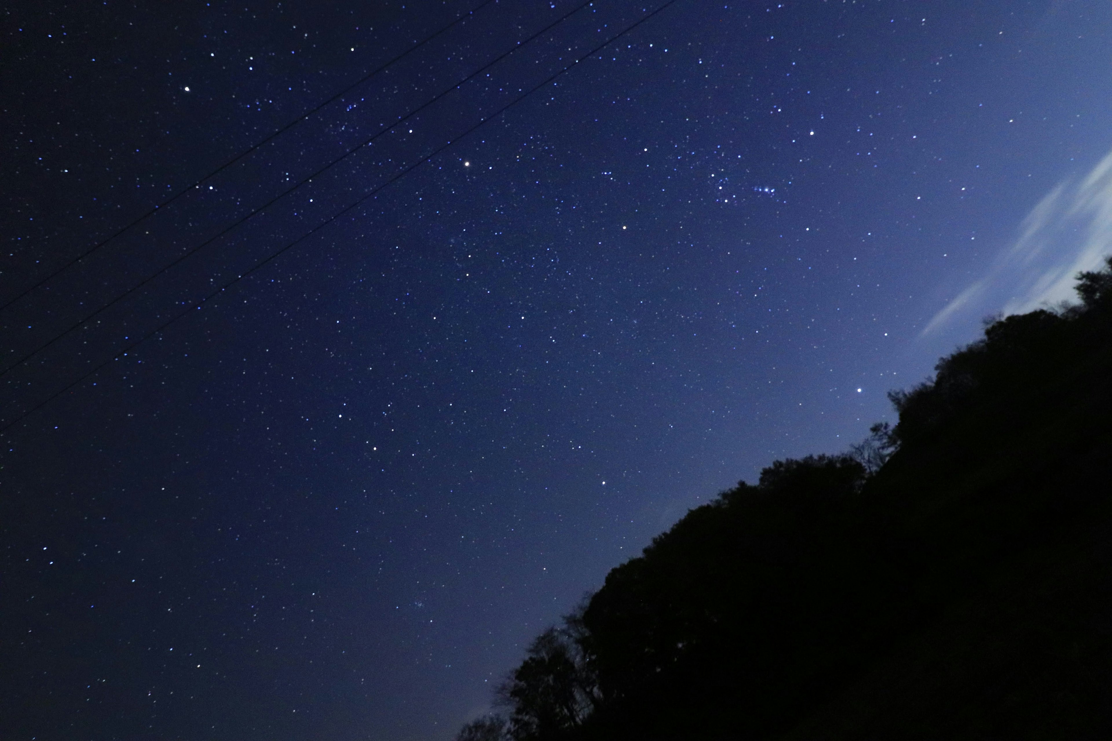 Cielo notturno stellato con stelle scintillanti silhouette di alberi in basso