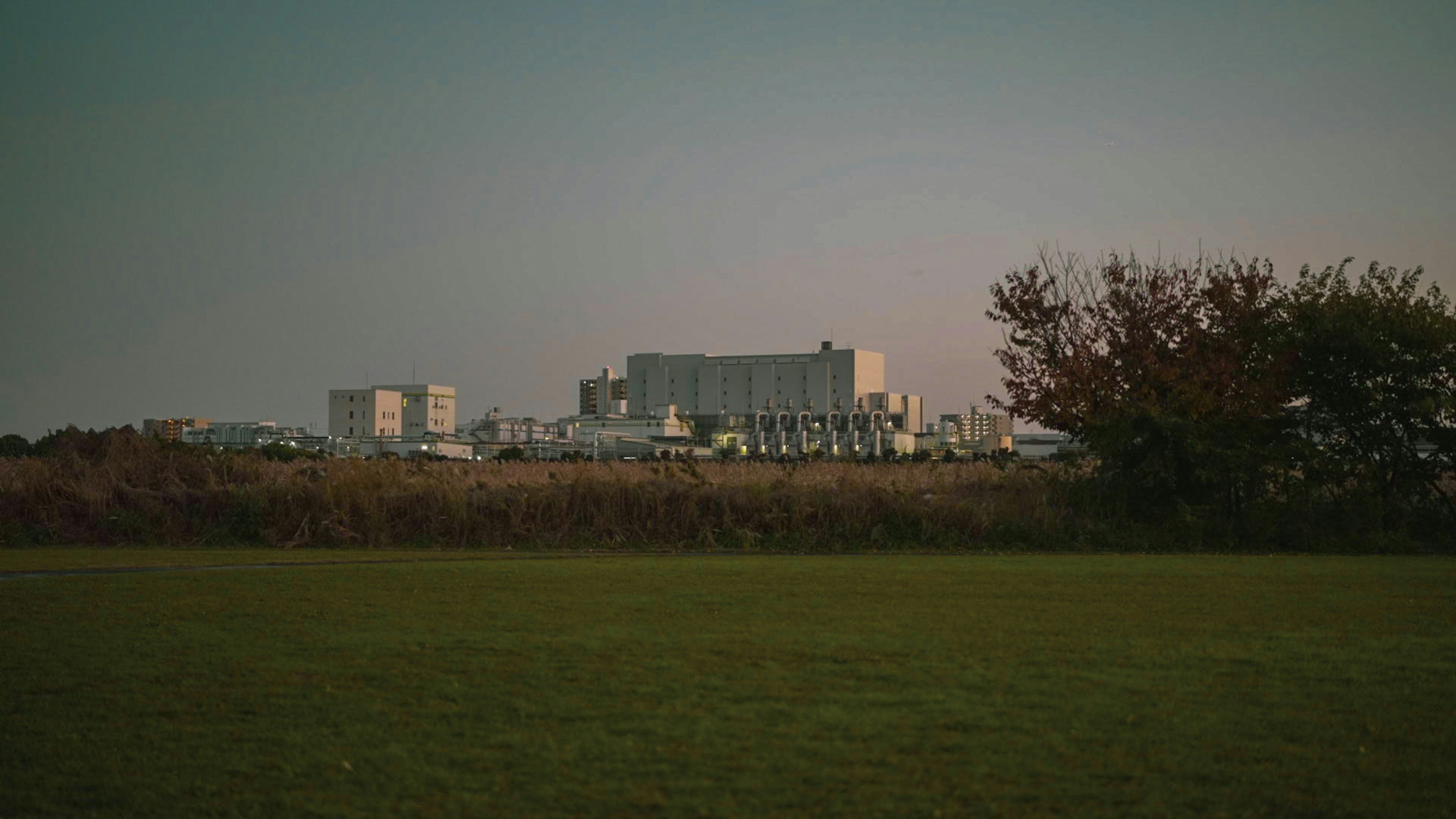 Vue d'immeubles industriels avec de la verdure au premier plan