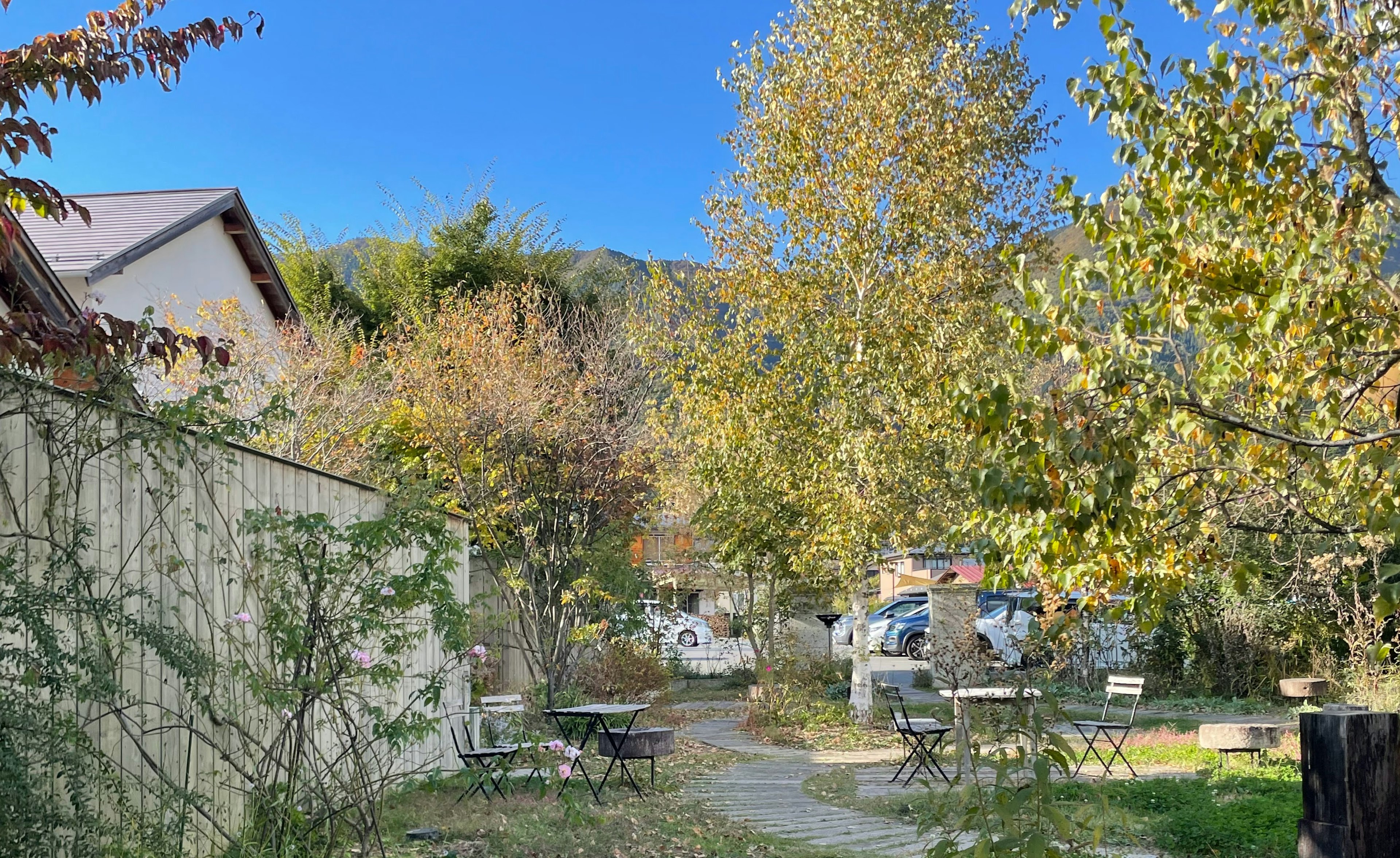 Malersicher Blick auf Bäume und Häuser unter blauem Himmel mit einem Weg in der Natur, der Herbstblätter zeigt