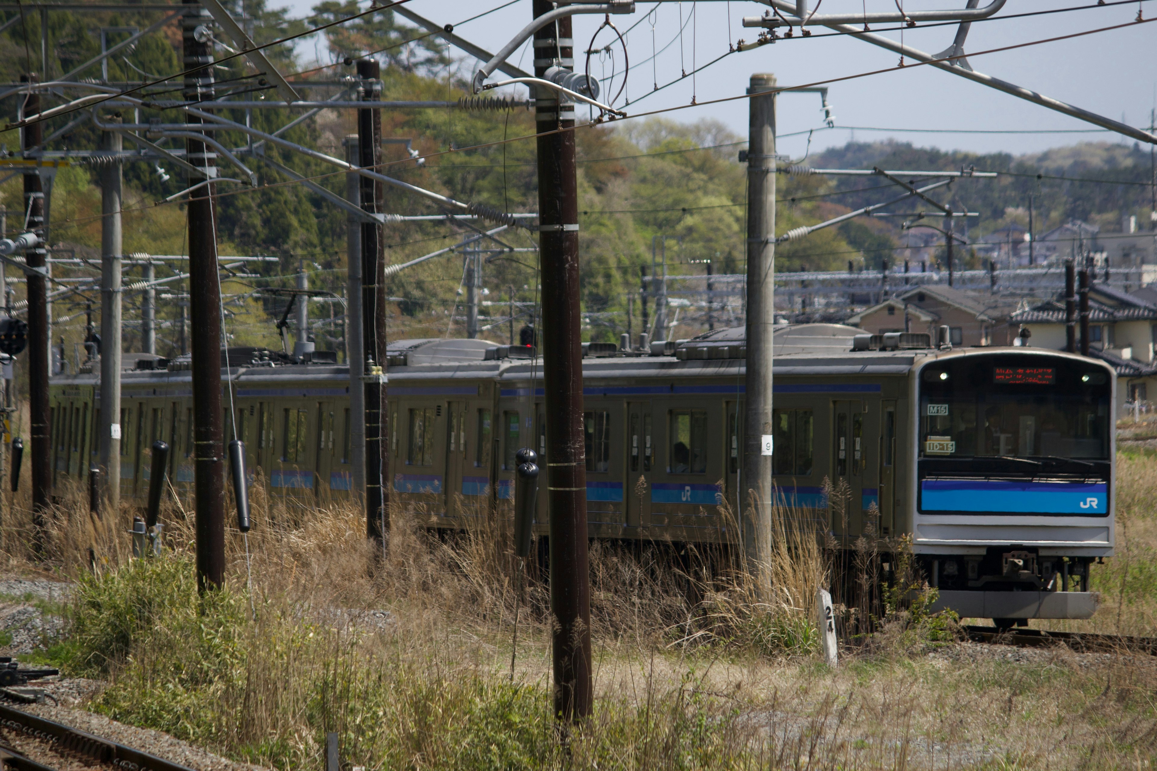 青いラインの電車が草むらの中を走っている風景