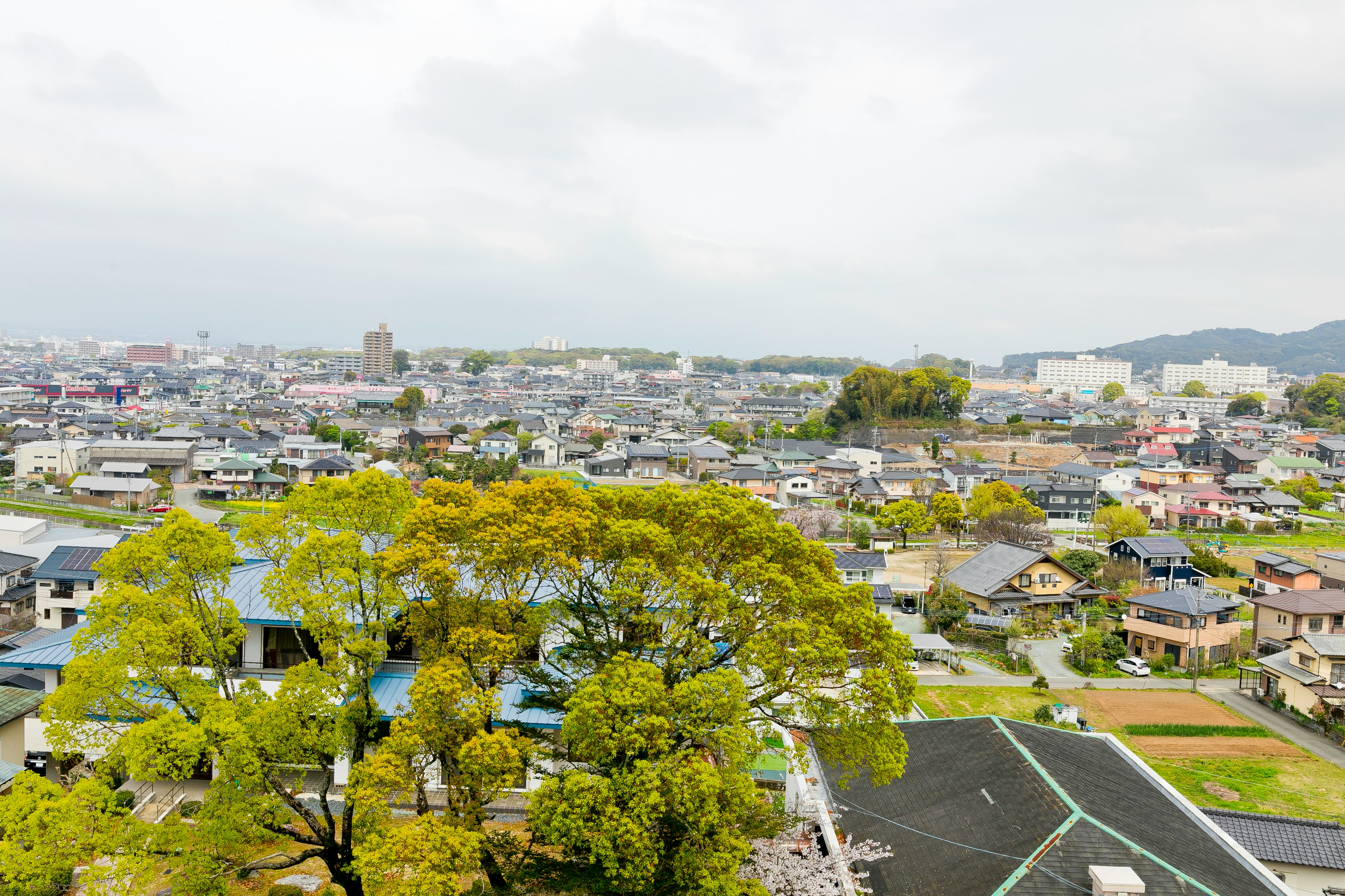 Paysage urbain avec des arbres verts et des toits