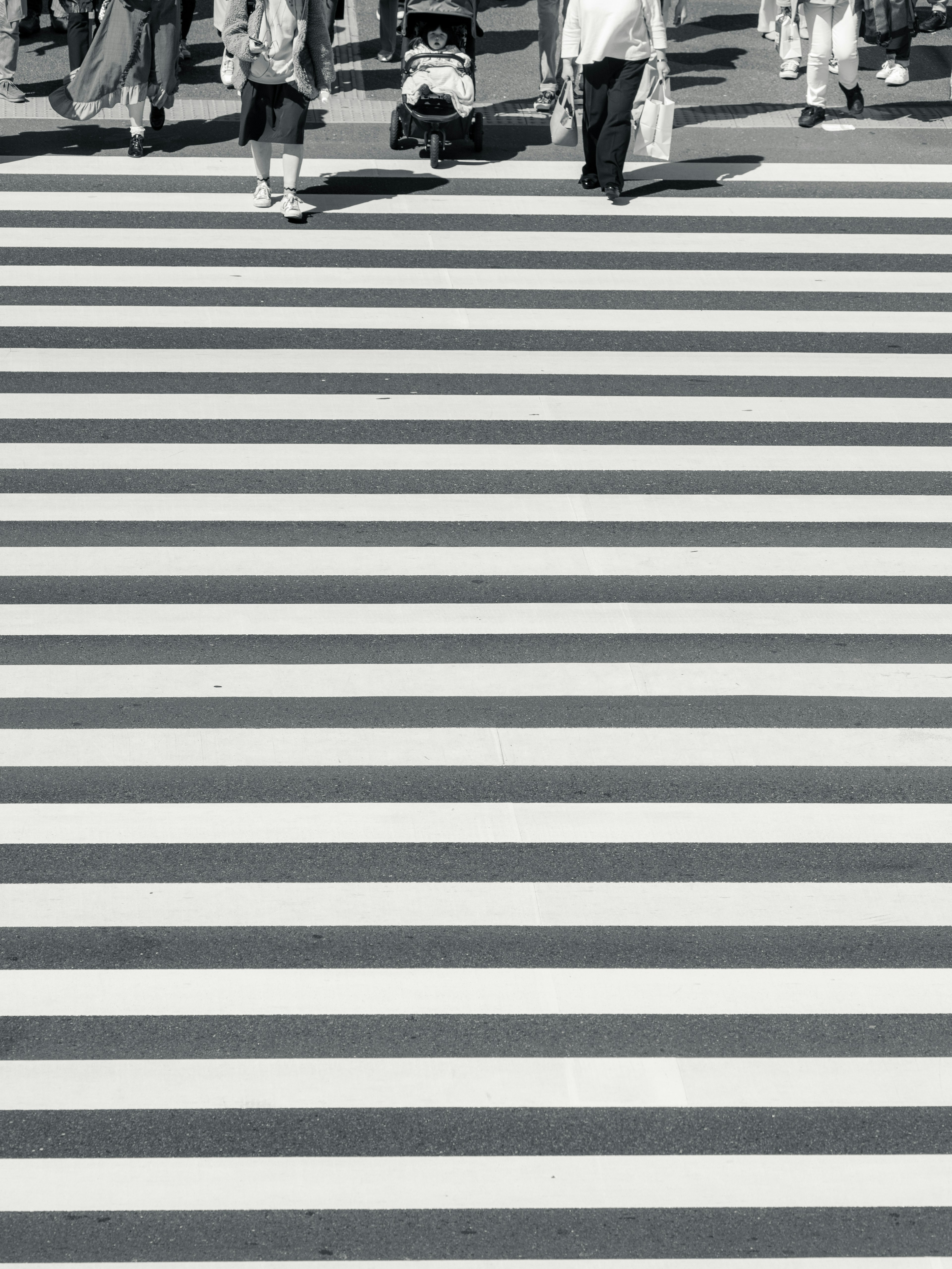 People walking on a black and white striped crosswalk