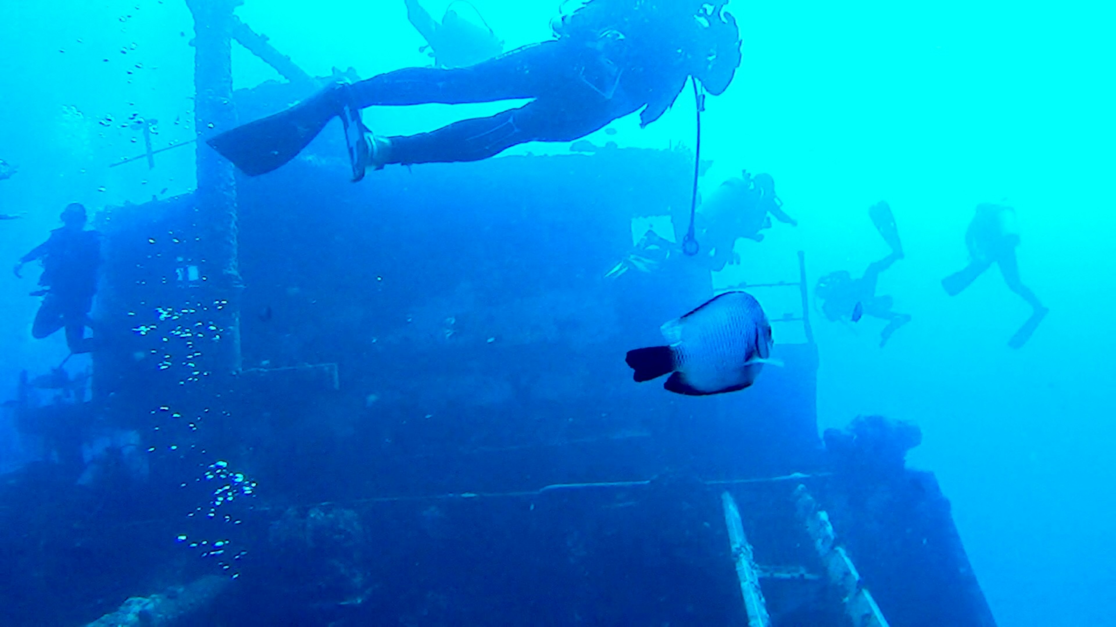 ダイバーが沈没船の周りを泳いでいる様子と魚が見える青い海