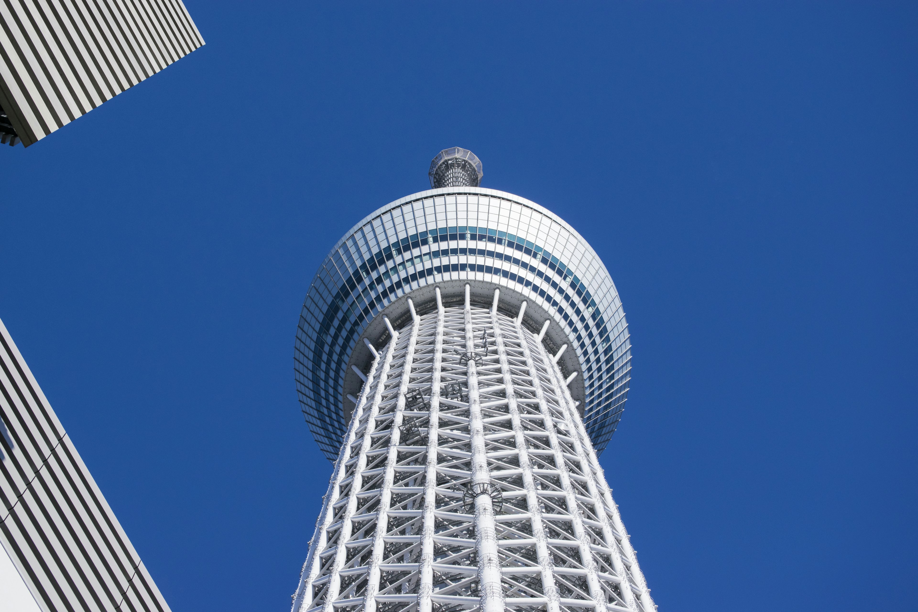 Pemandangan Tokyo Skytree dari bawah dengan latar belakang langit biru