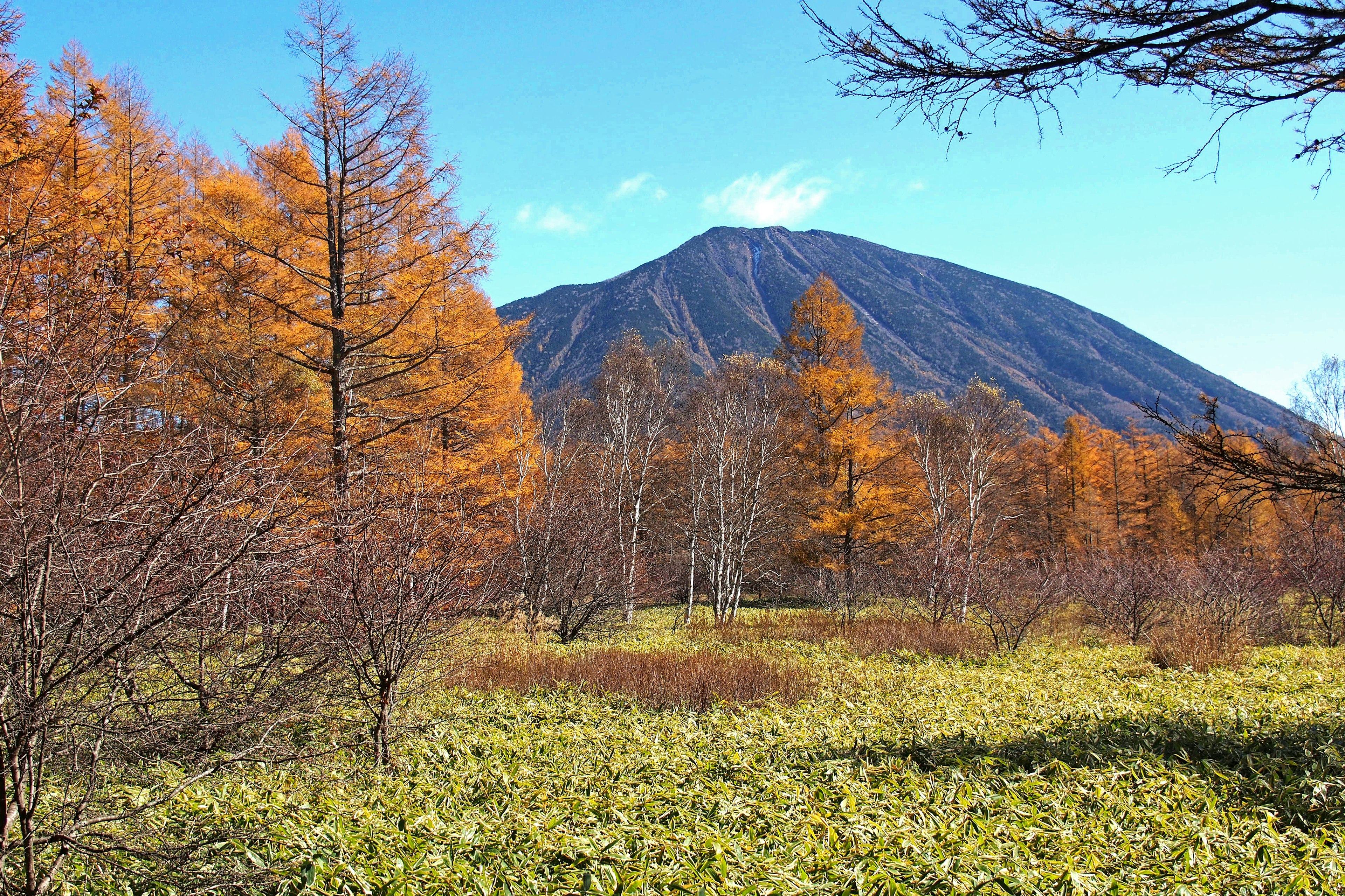 Scenic autumn landscape featuring a mountain surrounded by colorful trees