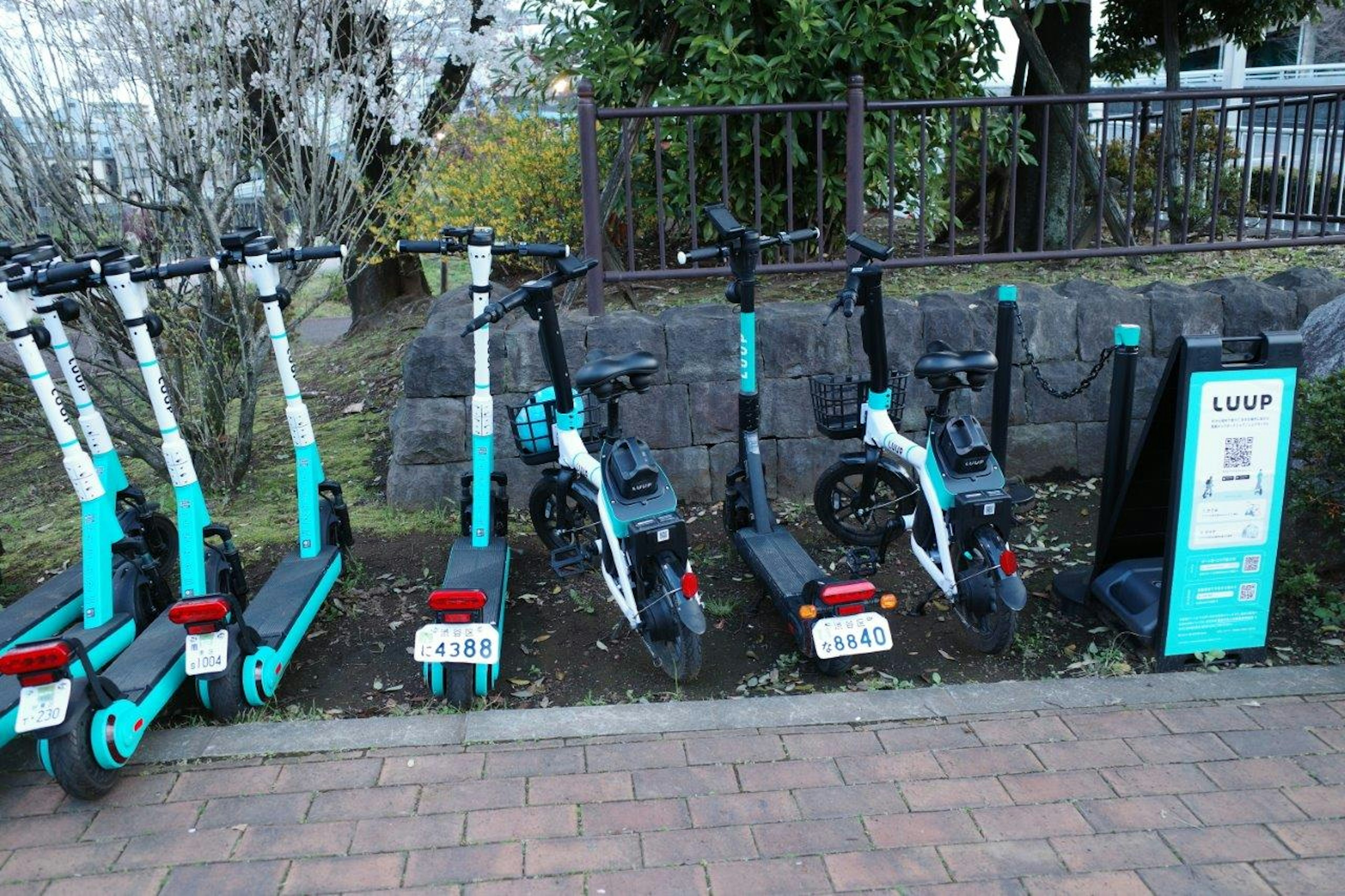 Reihe von blauen Elektroscootern und Fahrrädern geparkt