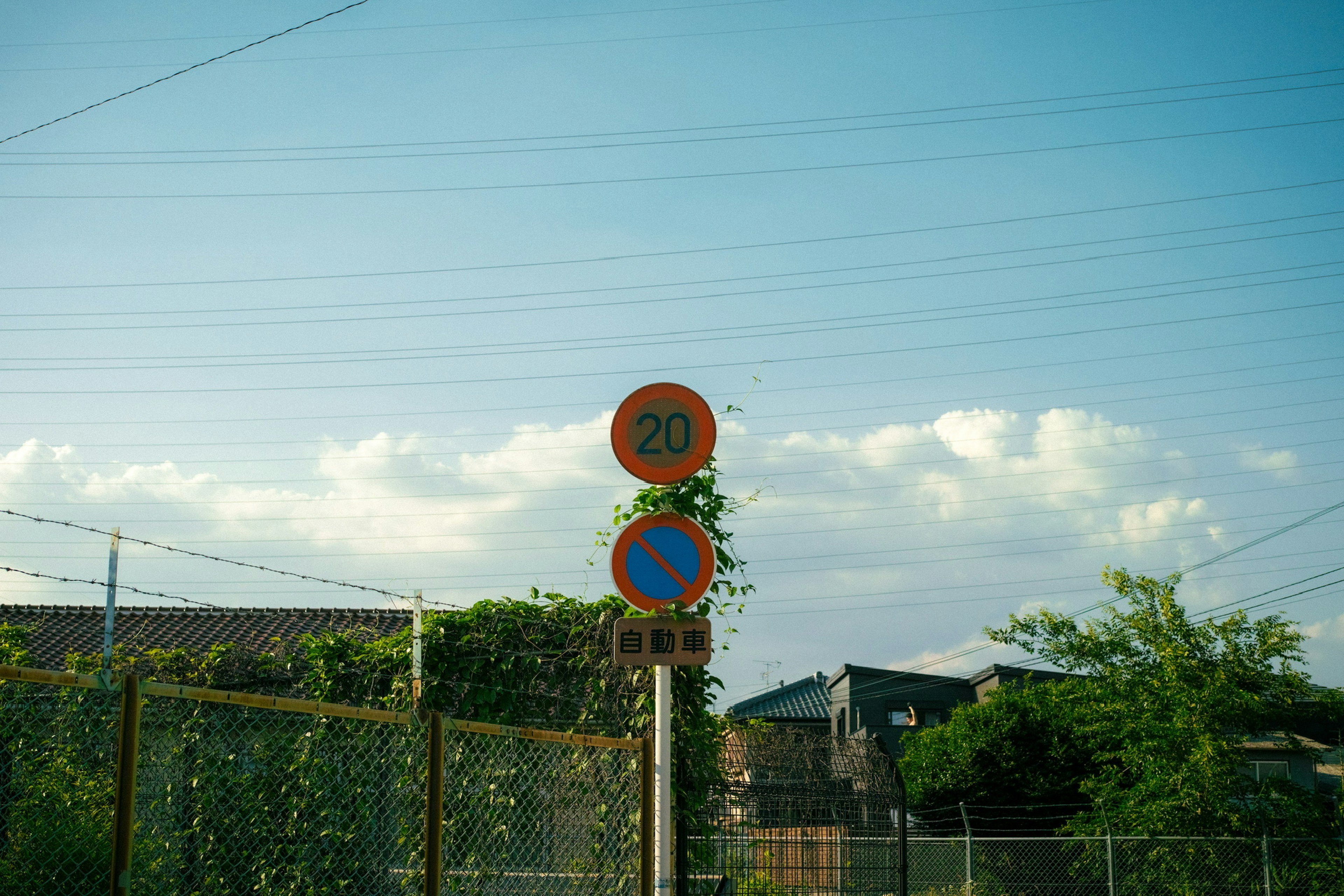 photo-mx6VQuJsZj7SW1NLg6LZ-image