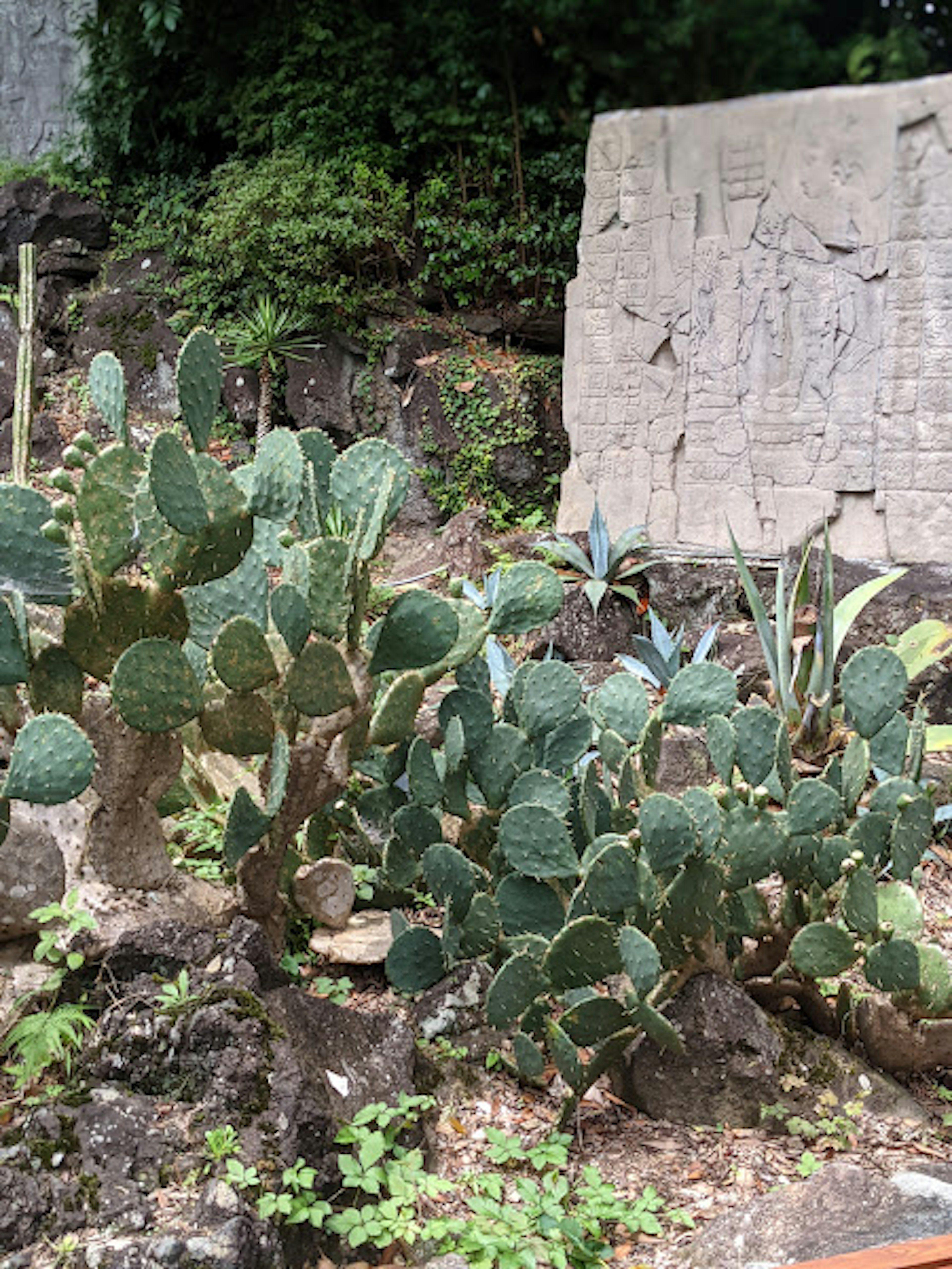 Paisaje con cactus verdes y escultura de piedra antigua