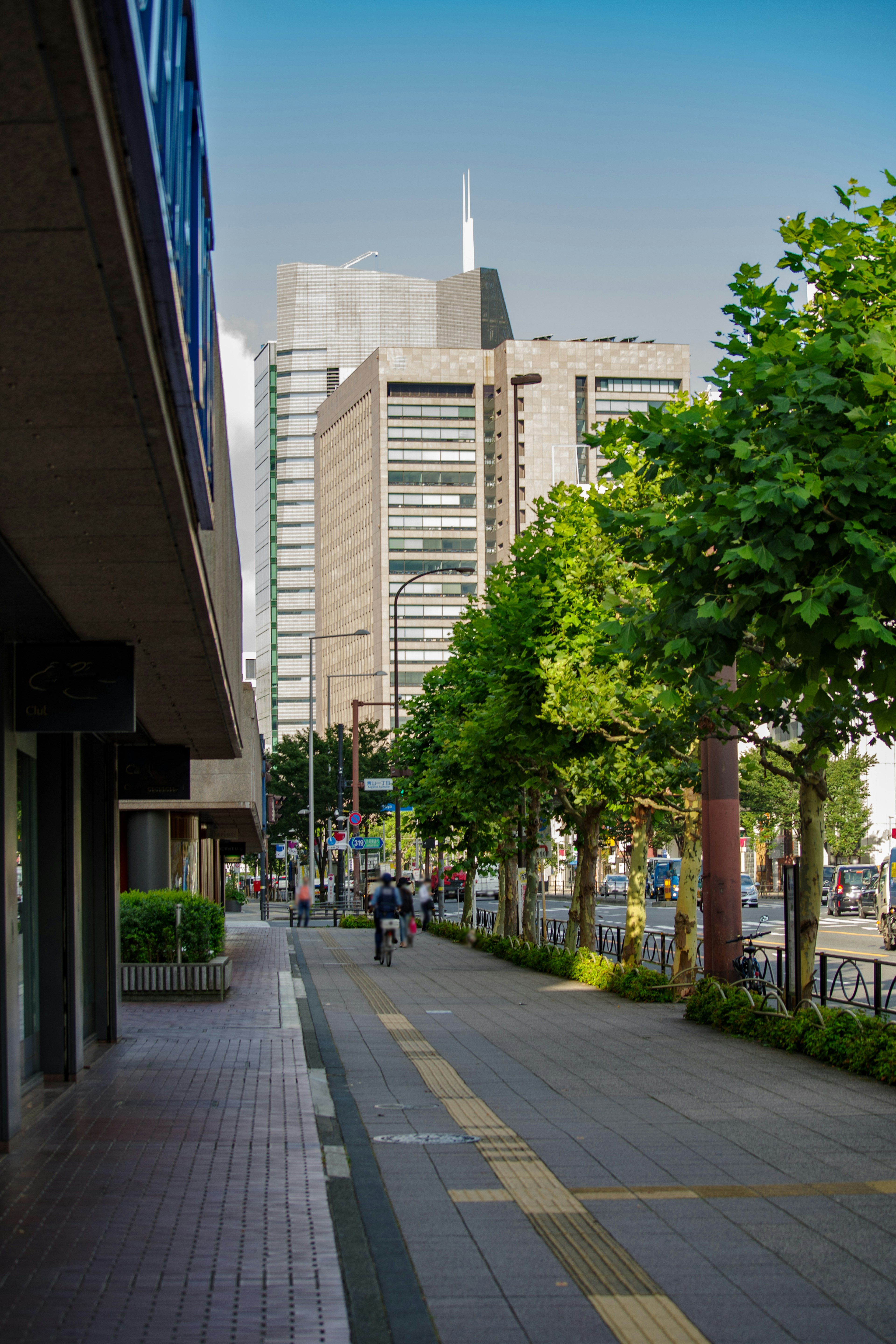 Urban street scene with green trees and skyscrapers