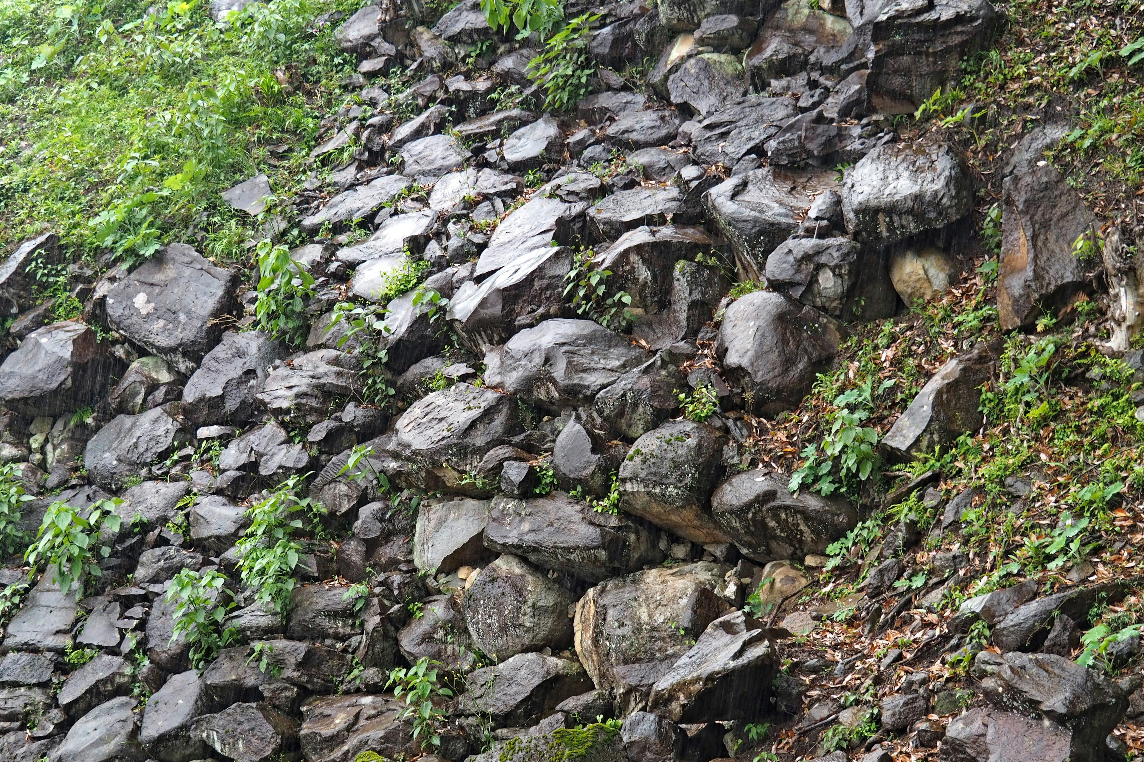 Eine Landschaft aus Felsen und üppigem Grün an einem Hang