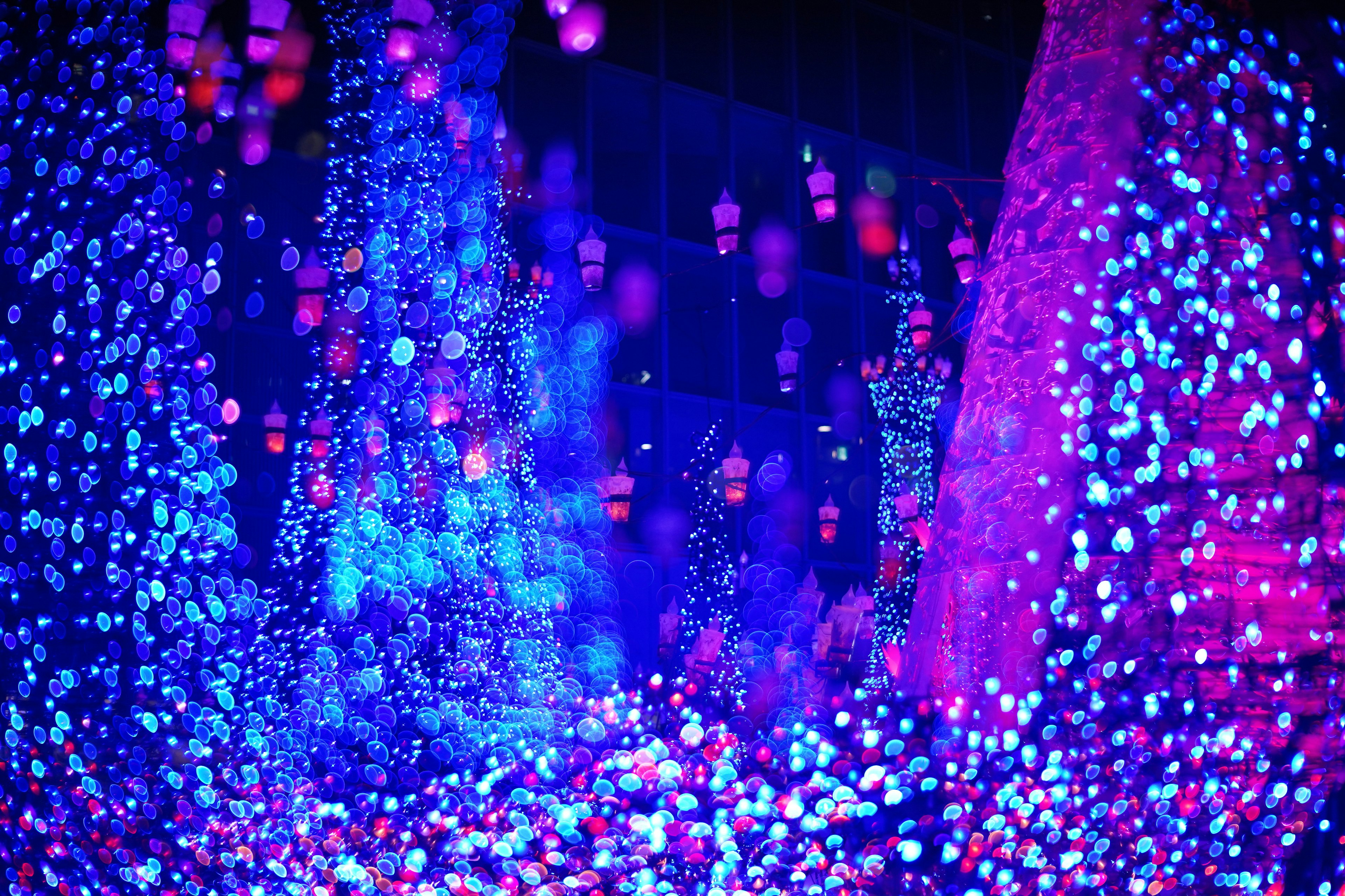 Illuminated trees shining in blue and purple lights