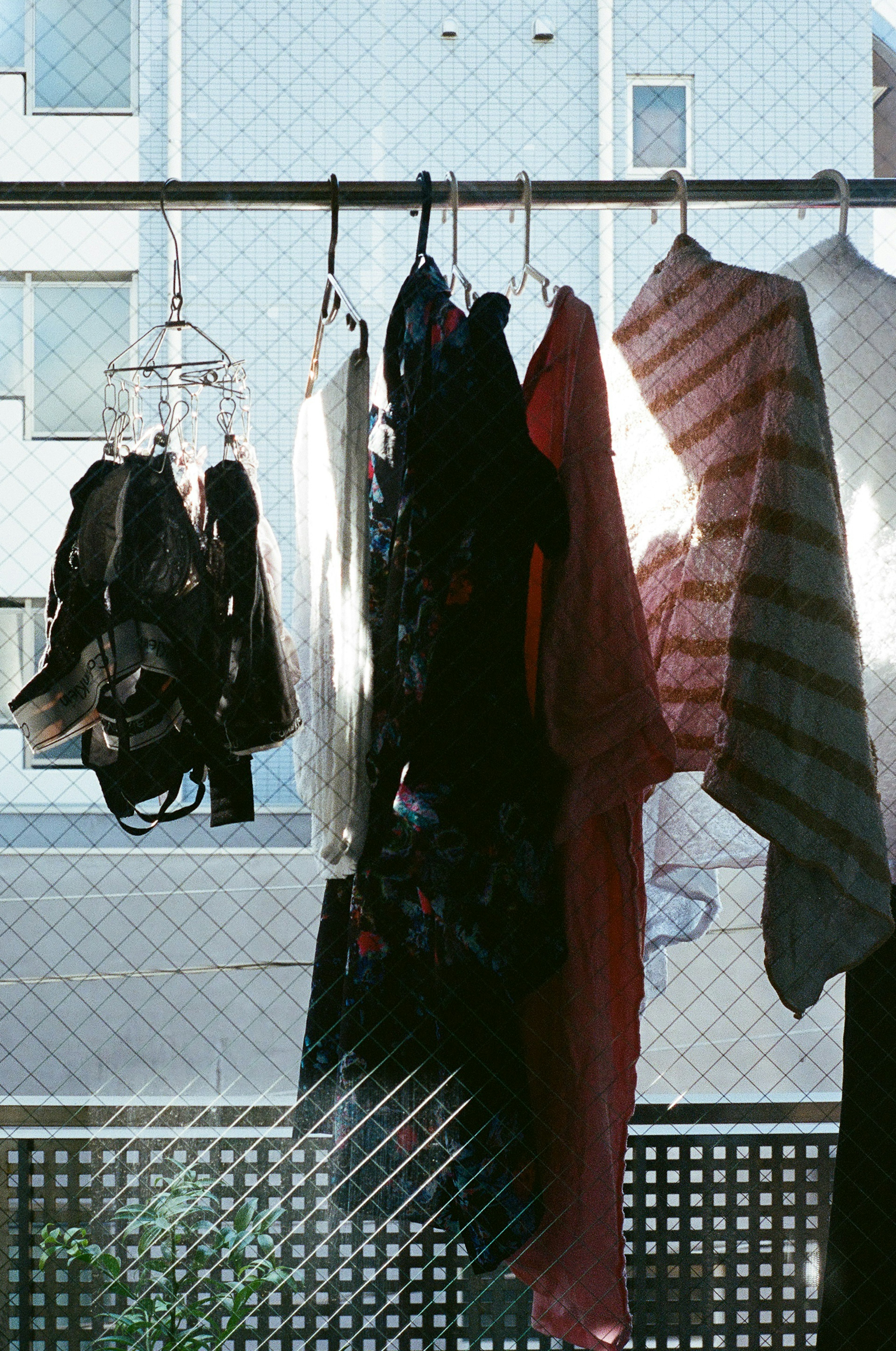 Clothes hanging outside on a line with a city backdrop