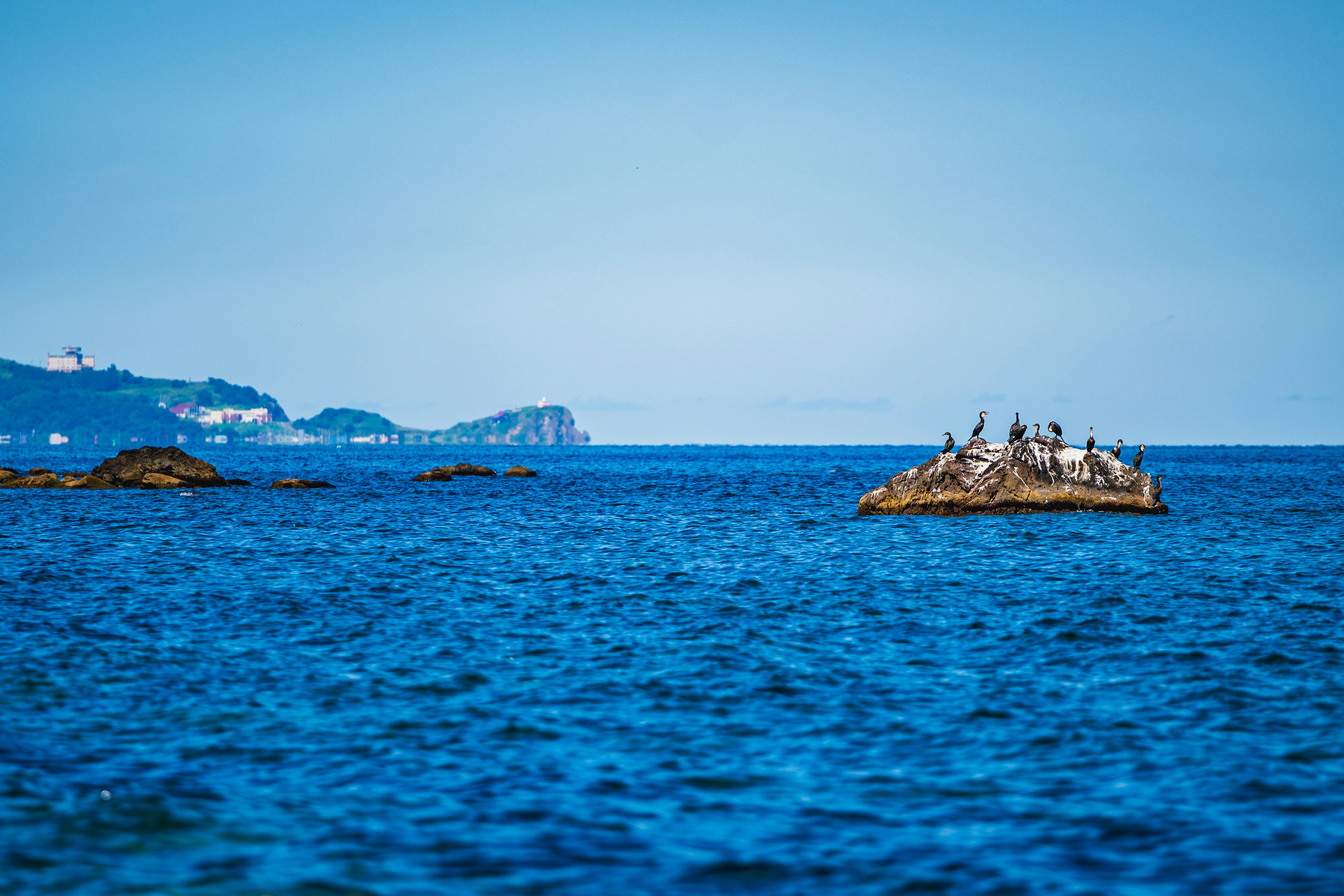 Birds perched on a rock in a blue ocean