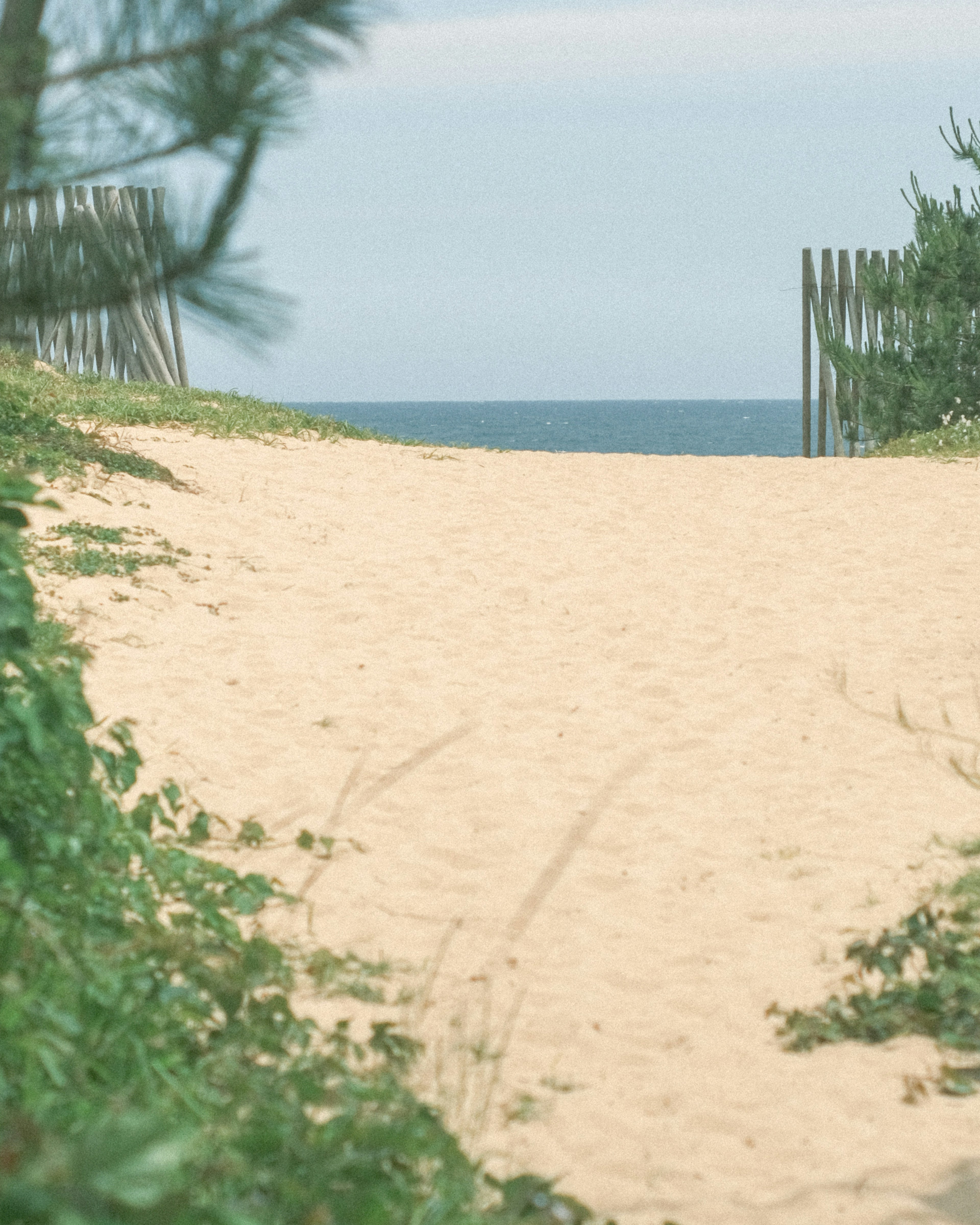 Pathway leading to sandy beach and blue ocean