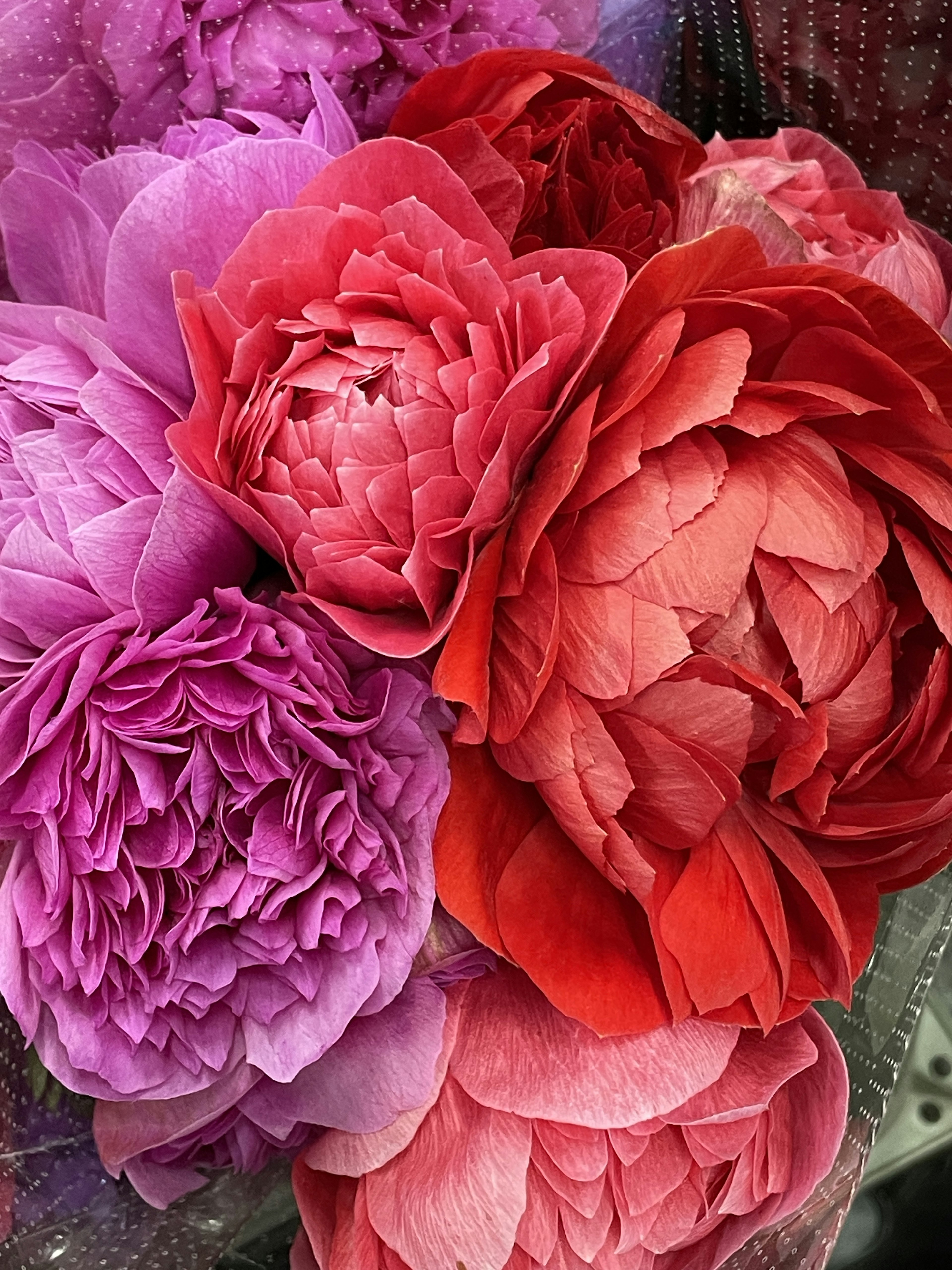 Bouquet colorato con peonie rosse e fiori viola