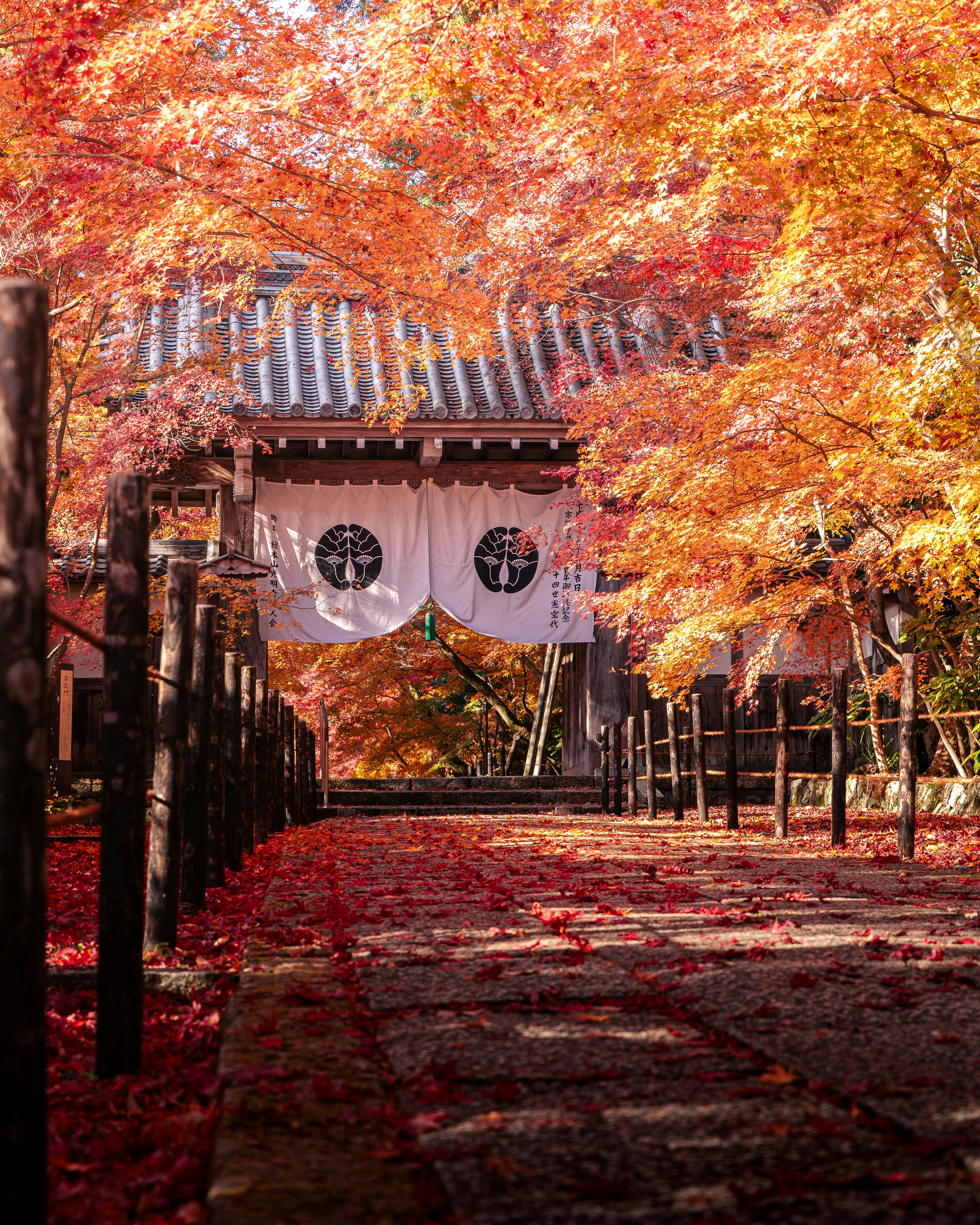 美しい紅葉に囲まれた日本の寺院の入り口